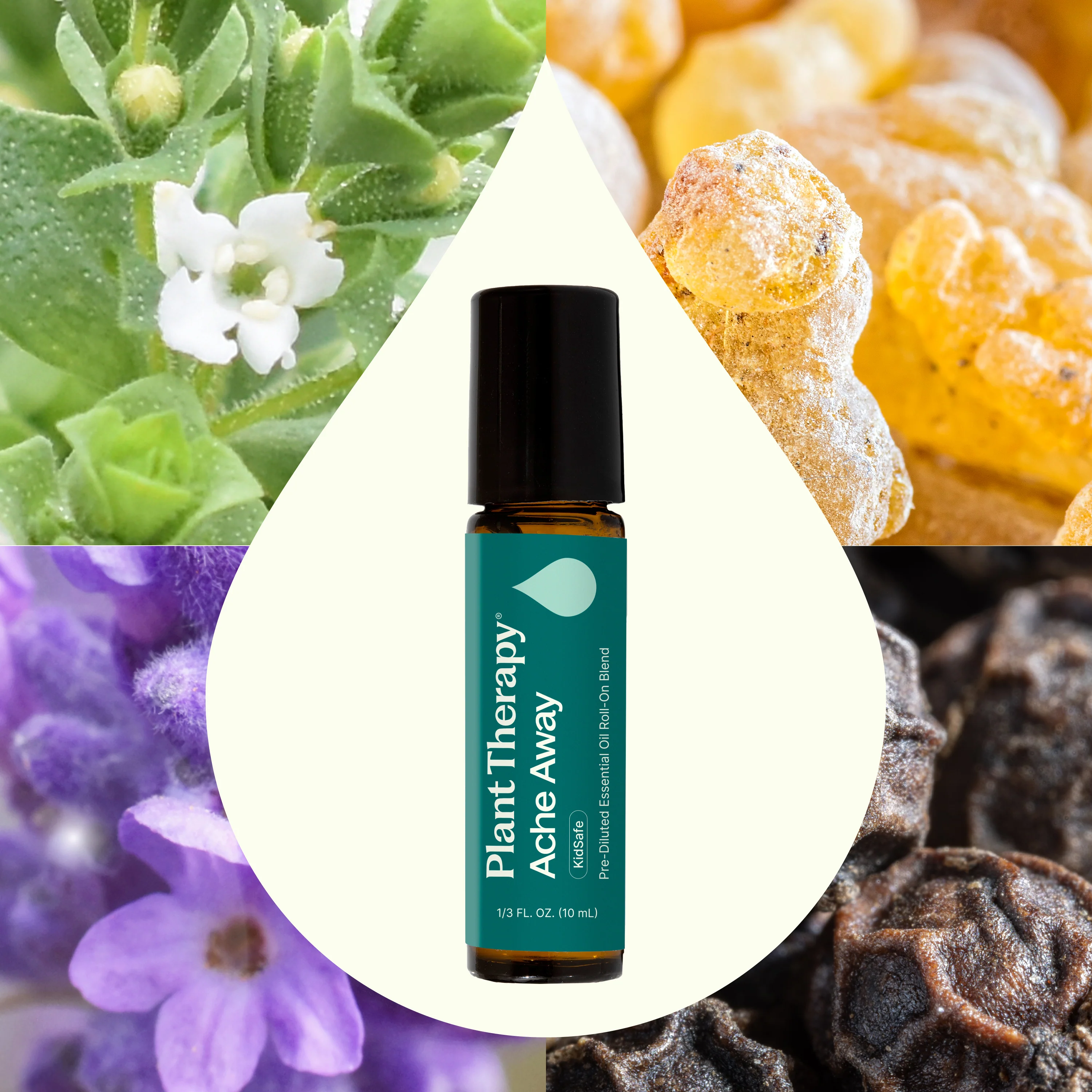 Ache Away Pre-Diluted Essential Oil Roll-On - Image 2