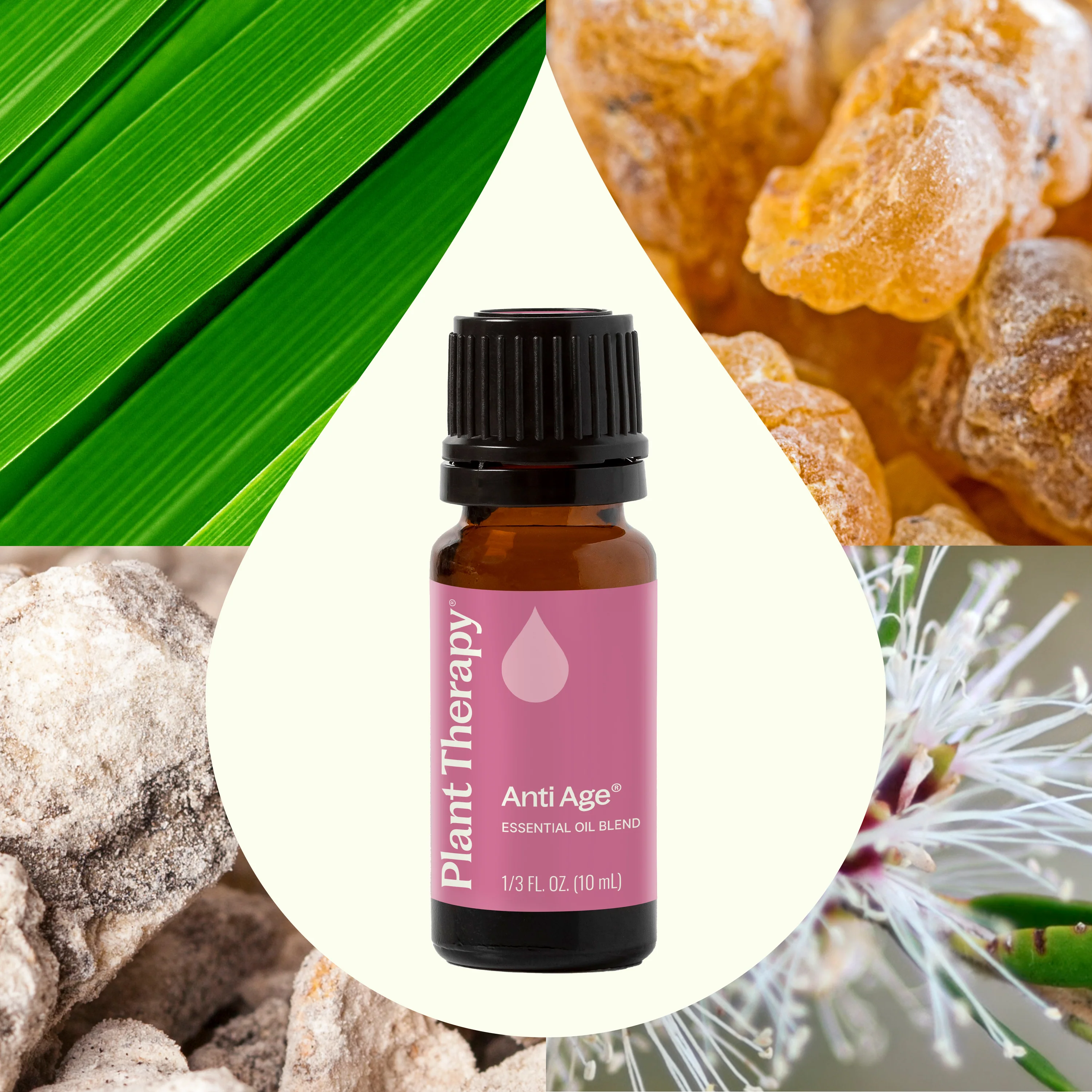Anti Age Essential Oil Blend - Image 2