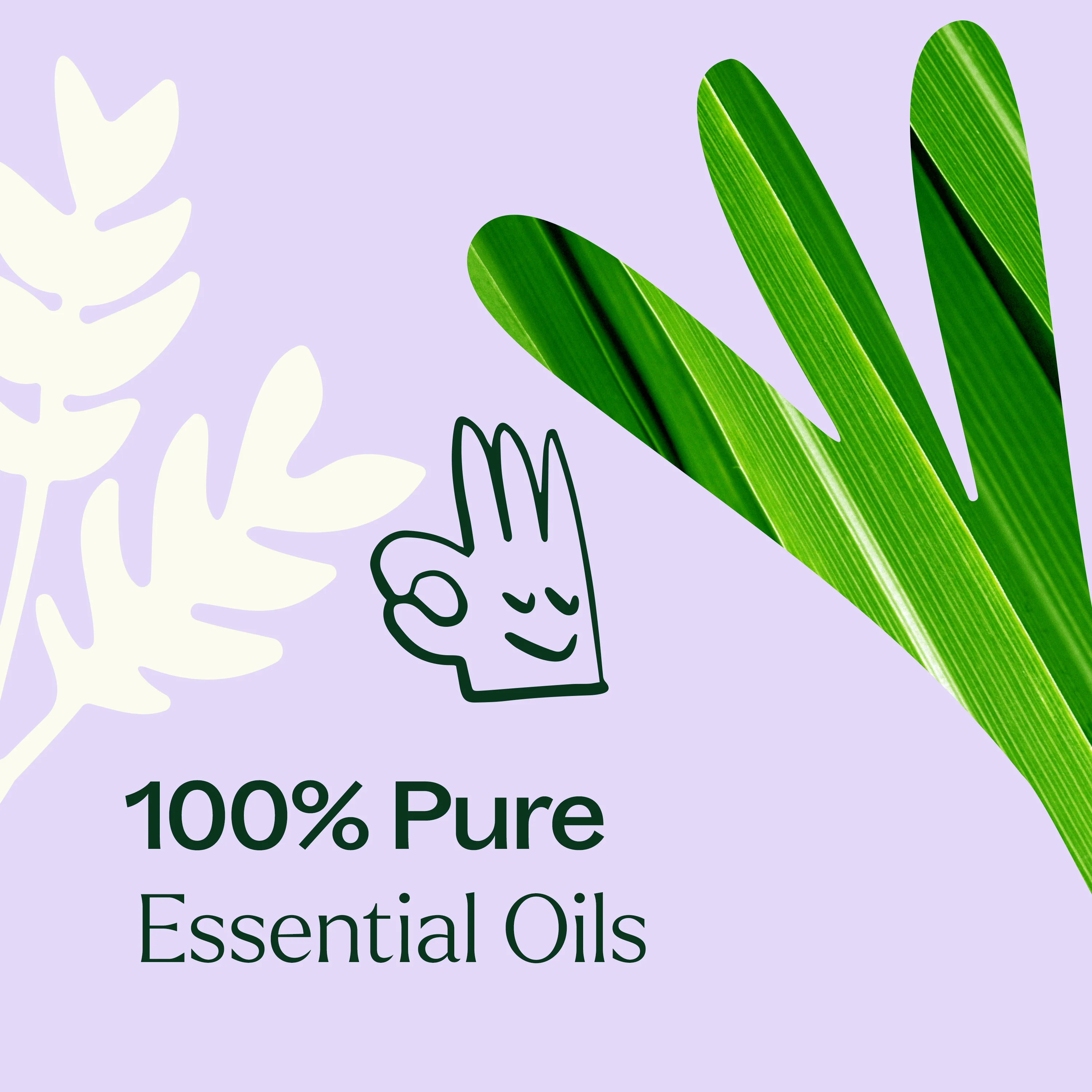 Anti Age Essential Oil Blend - Image 6