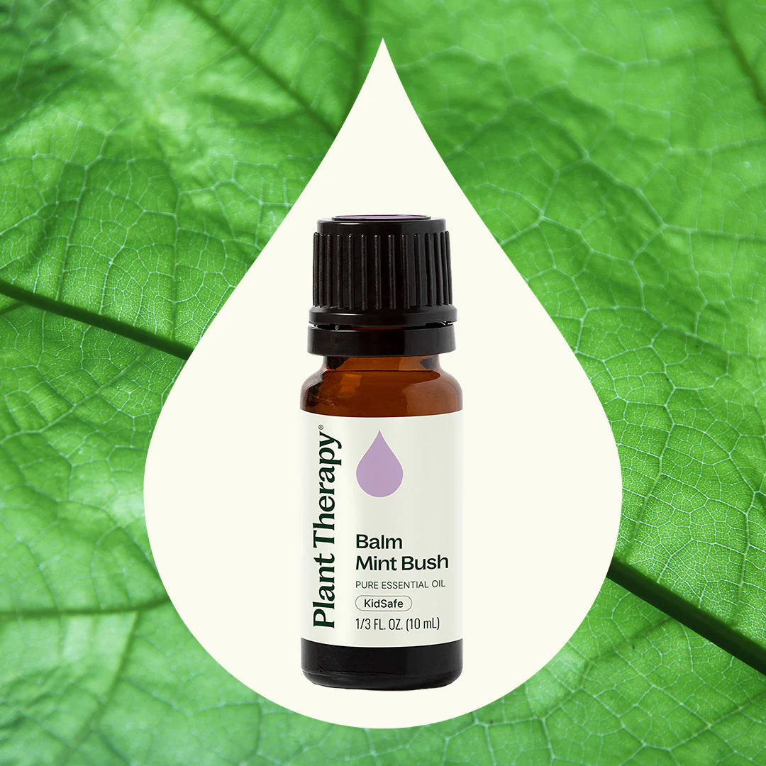 Balm Mint Bush Essential Oil - Image 2