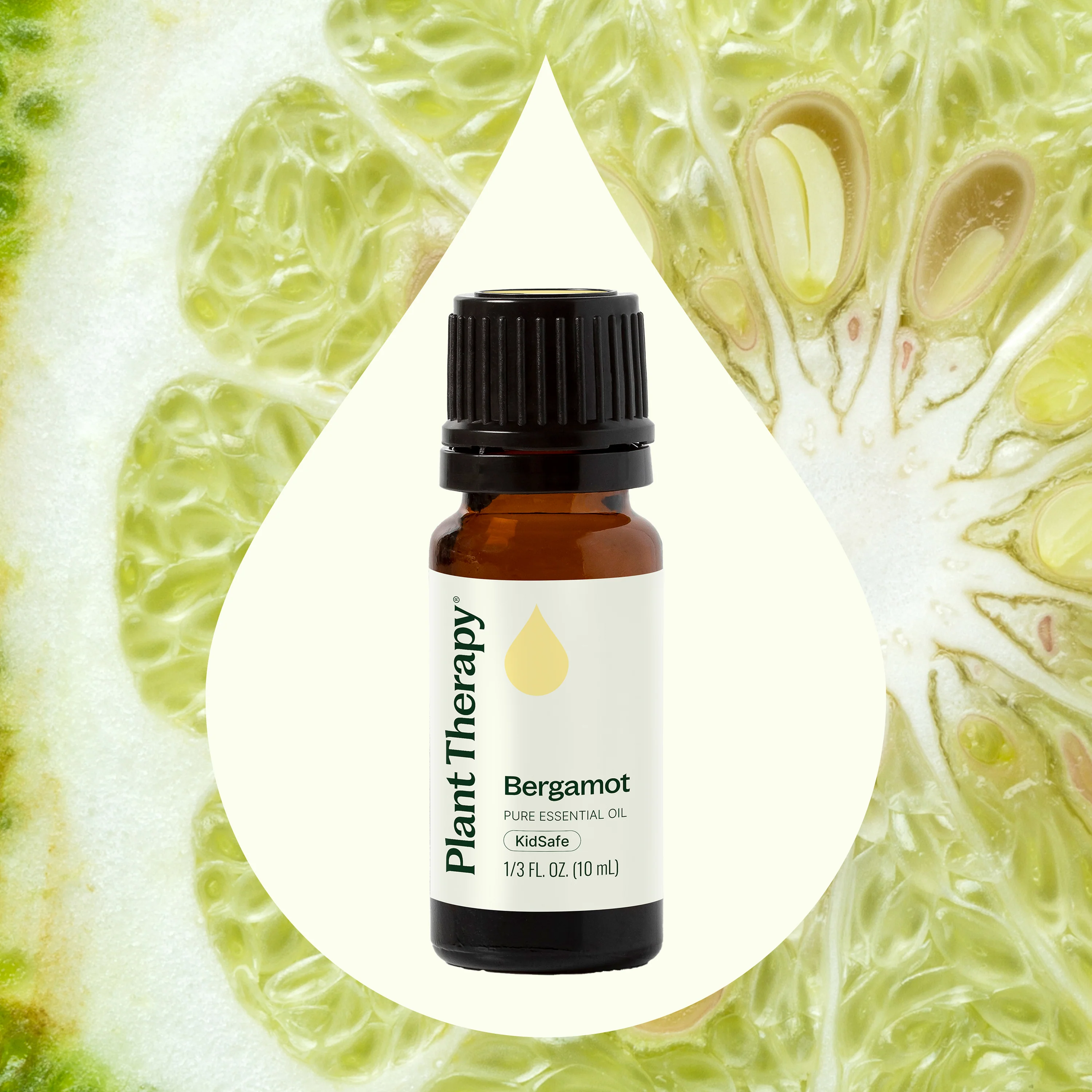 Bergamot Essential Oil - Image 5