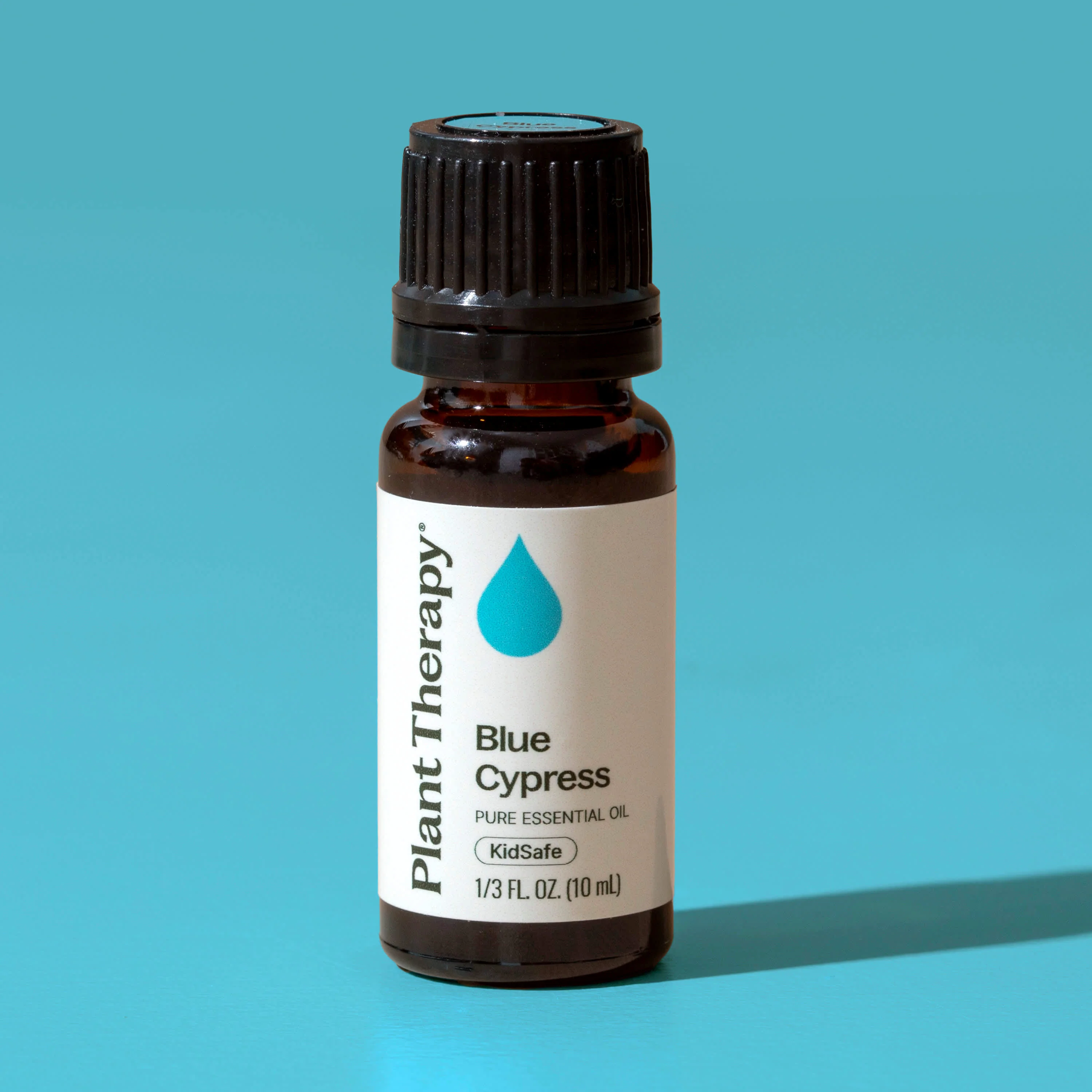 Blue Cypress Essential Oil - Image 7