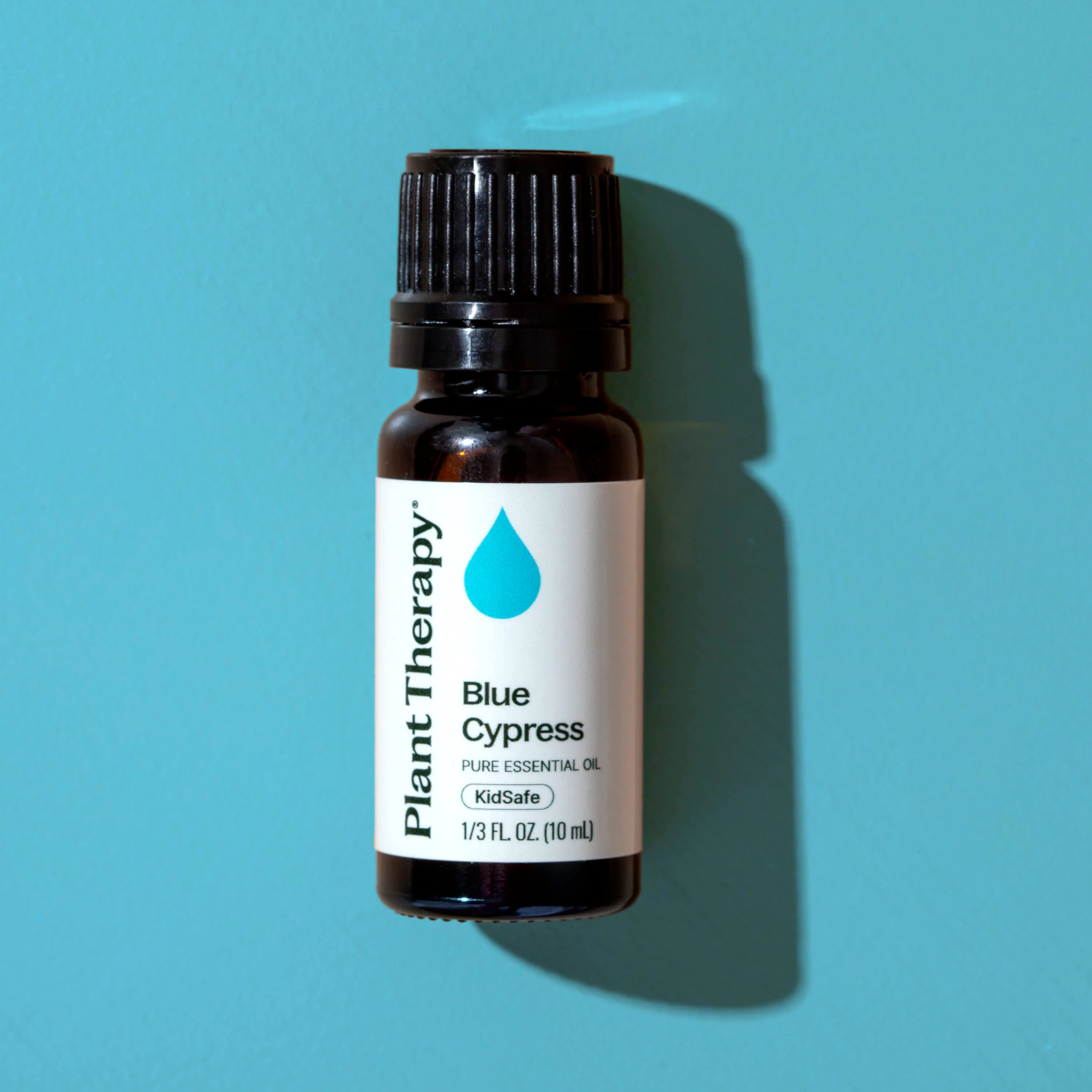 Blue Cypress Essential Oil - Image 8