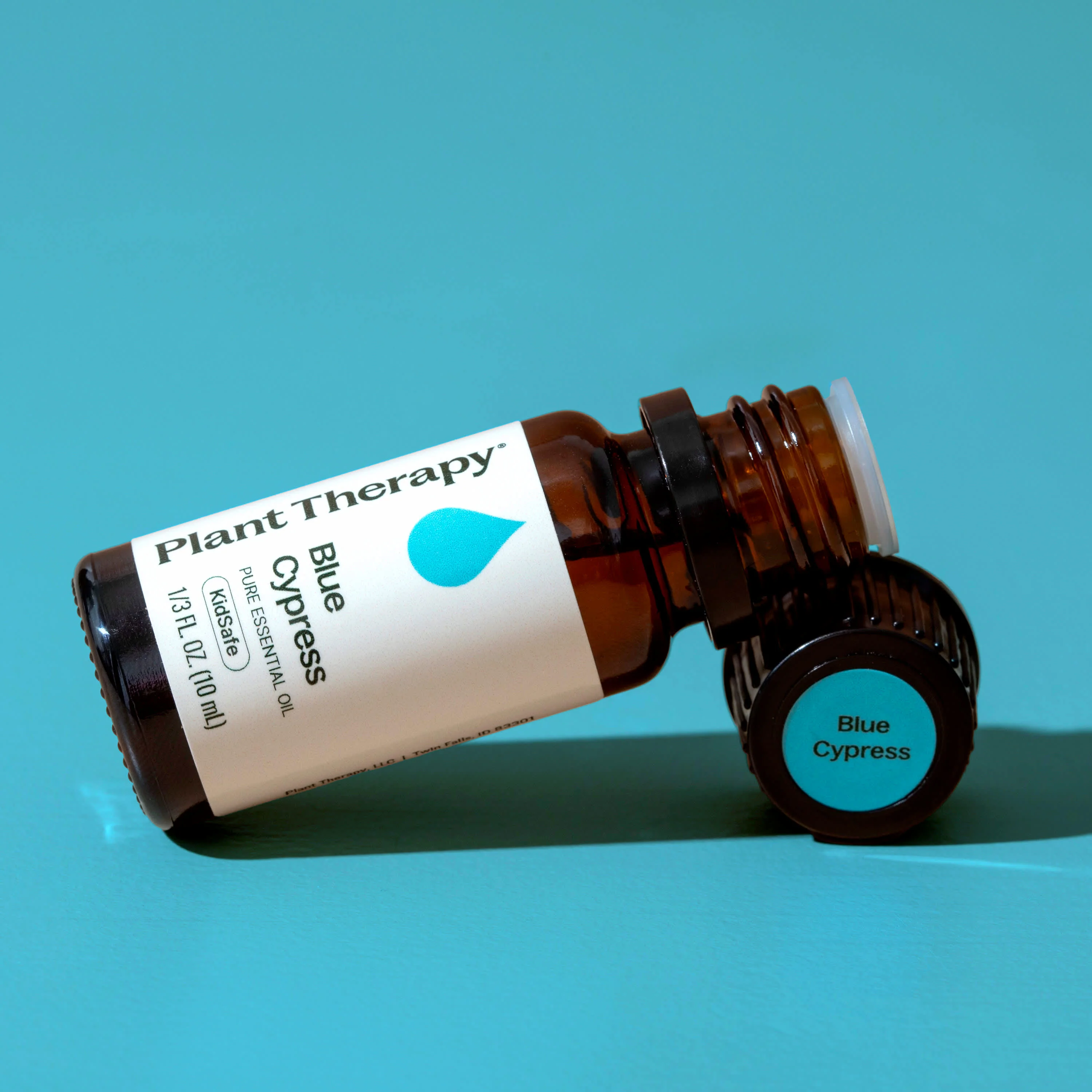 Blue Cypress Essential Oil - Image 9