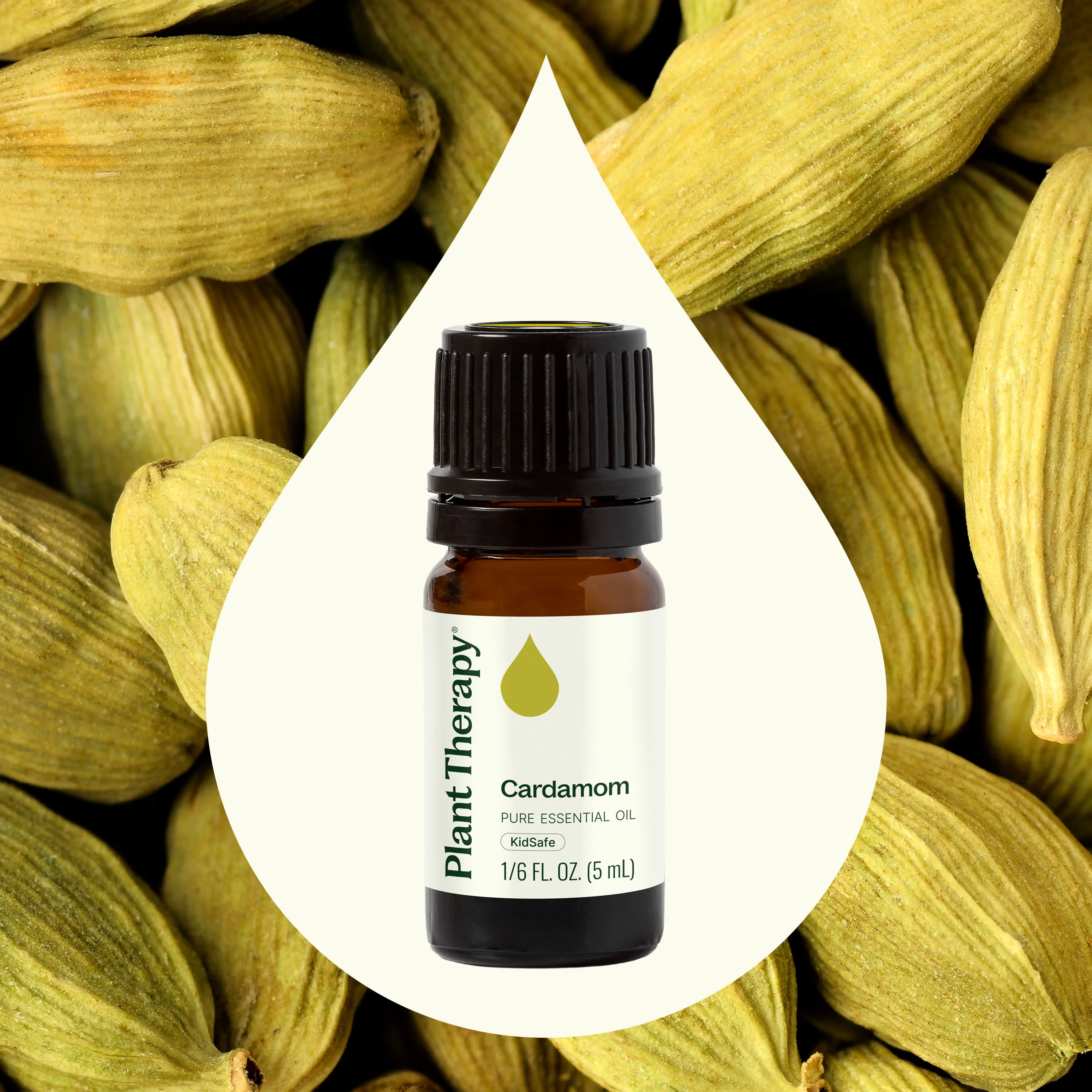Cardamom Essential Oil - Image 2