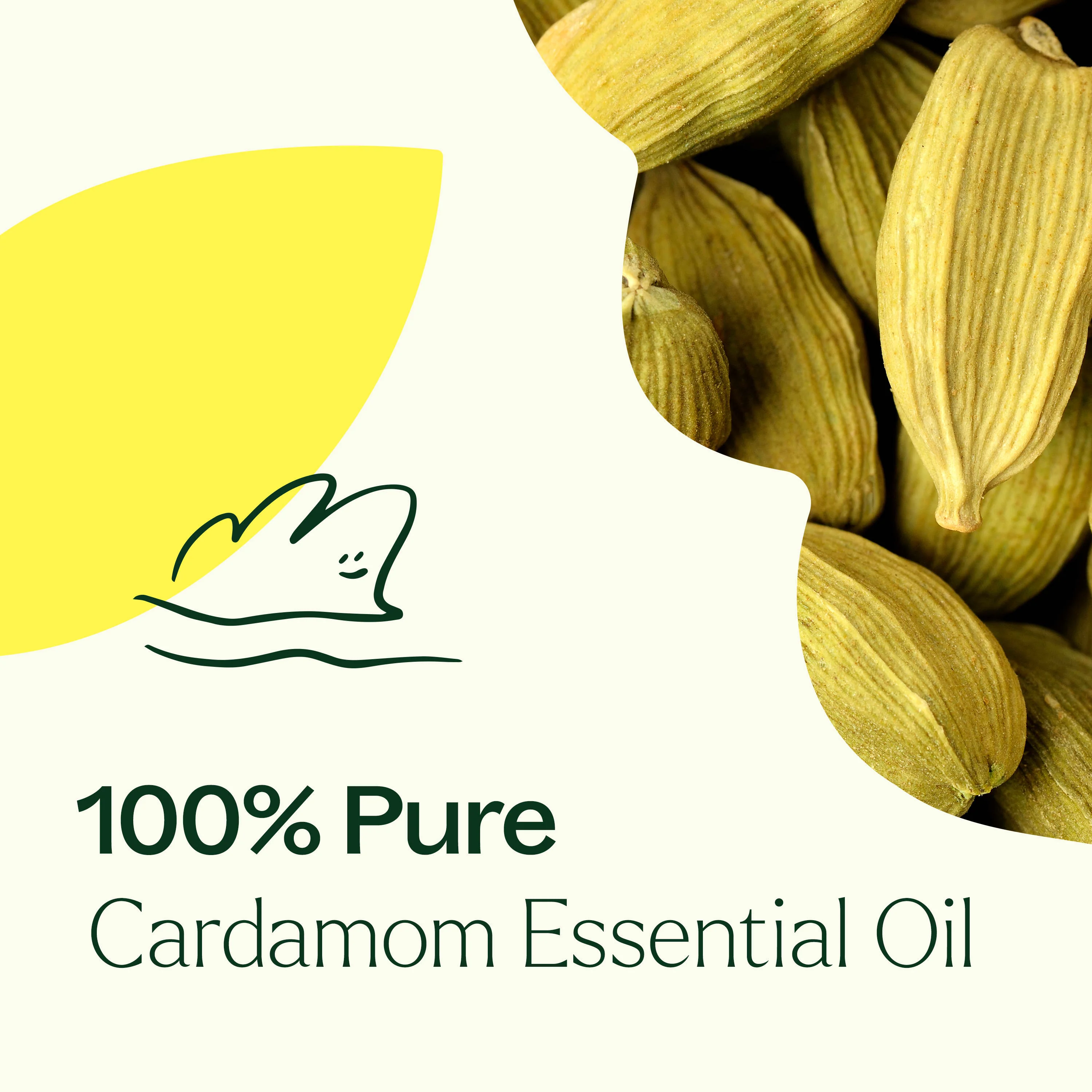 Cardamom Essential Oil - Image 4