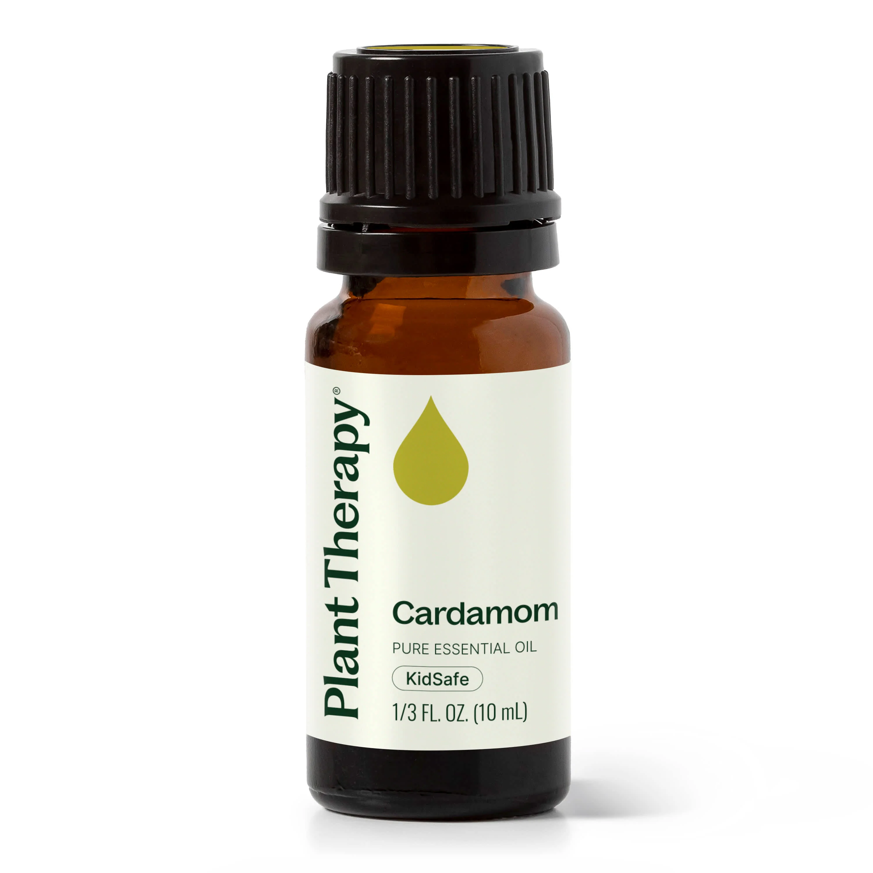 Cardamom Essential Oil - Image 6