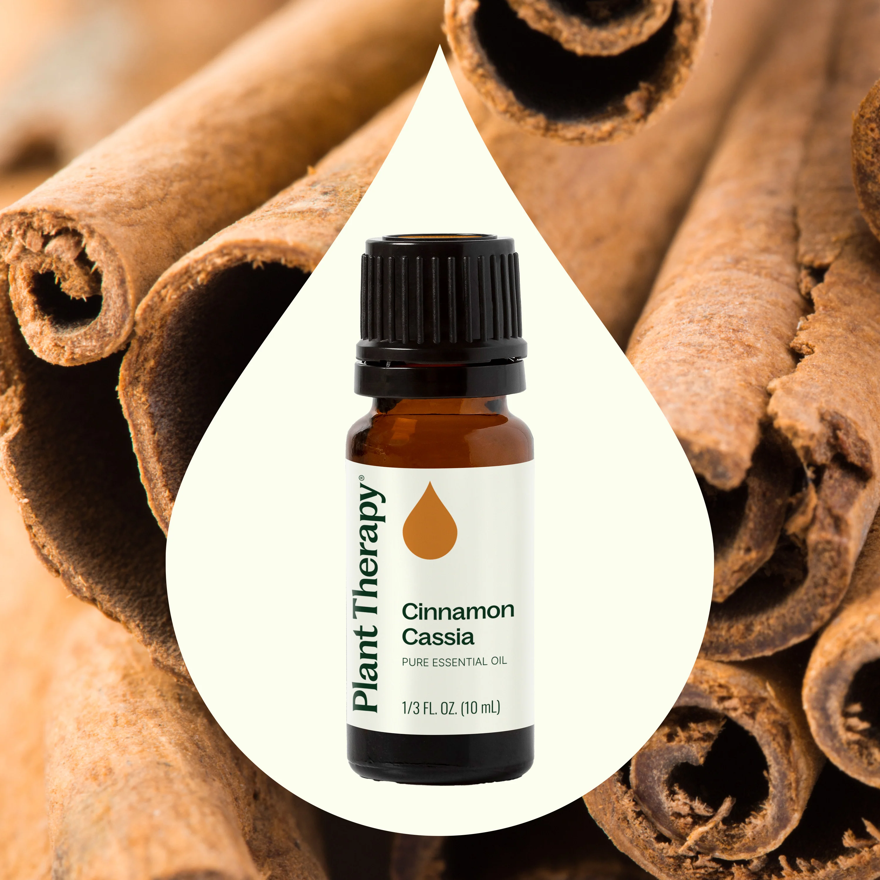 Cinnamon Cassia Essential Oil - Image 2