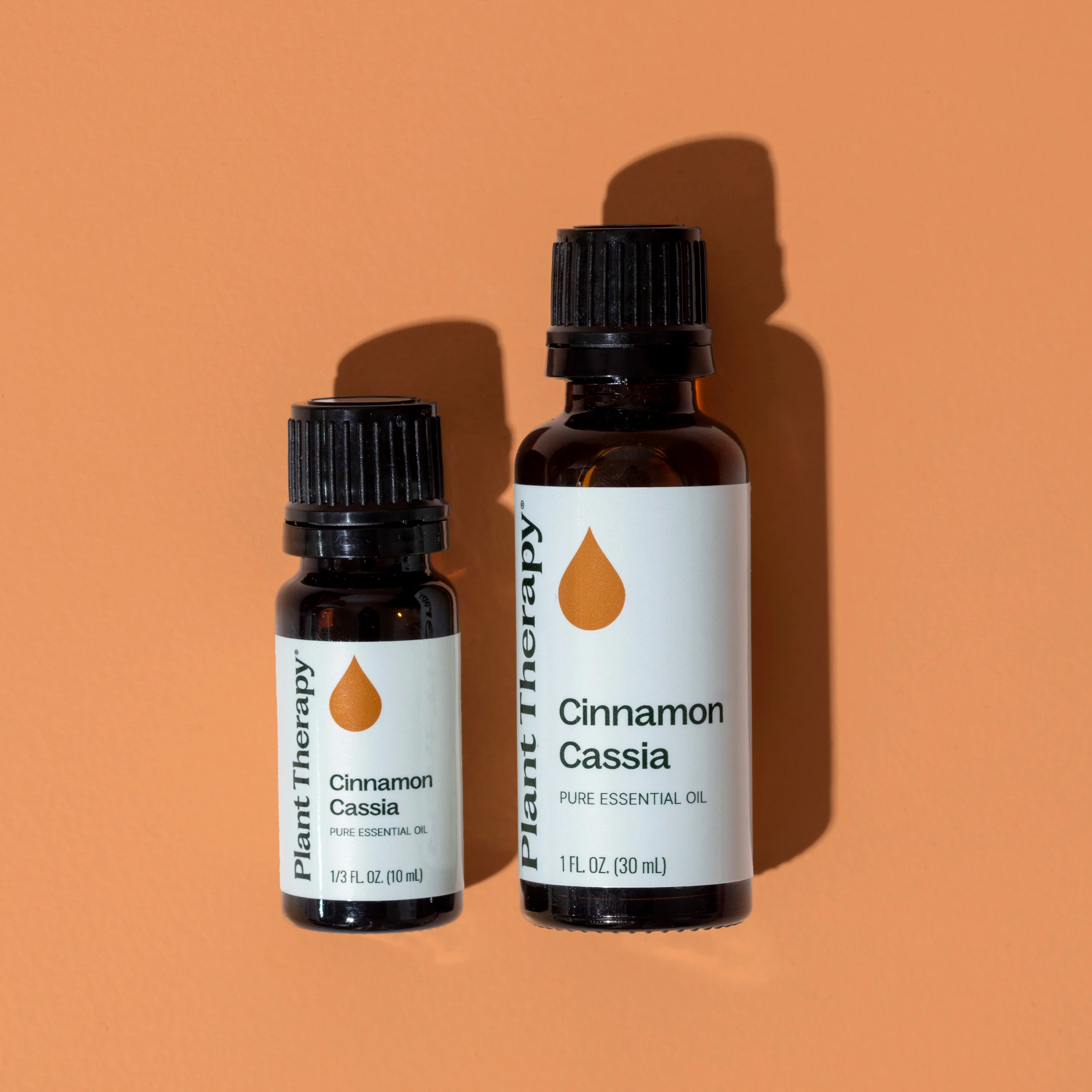 Cinnamon Cassia Essential Oil - Image 4