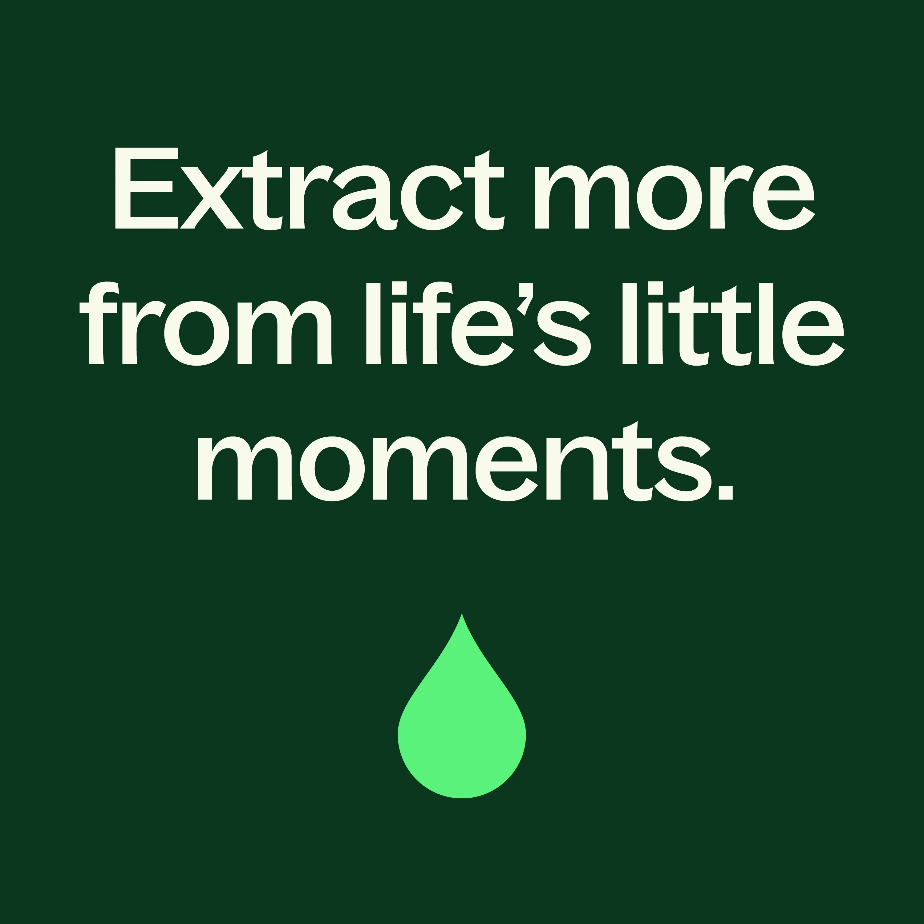 Citronella Essential Oil - Image 3