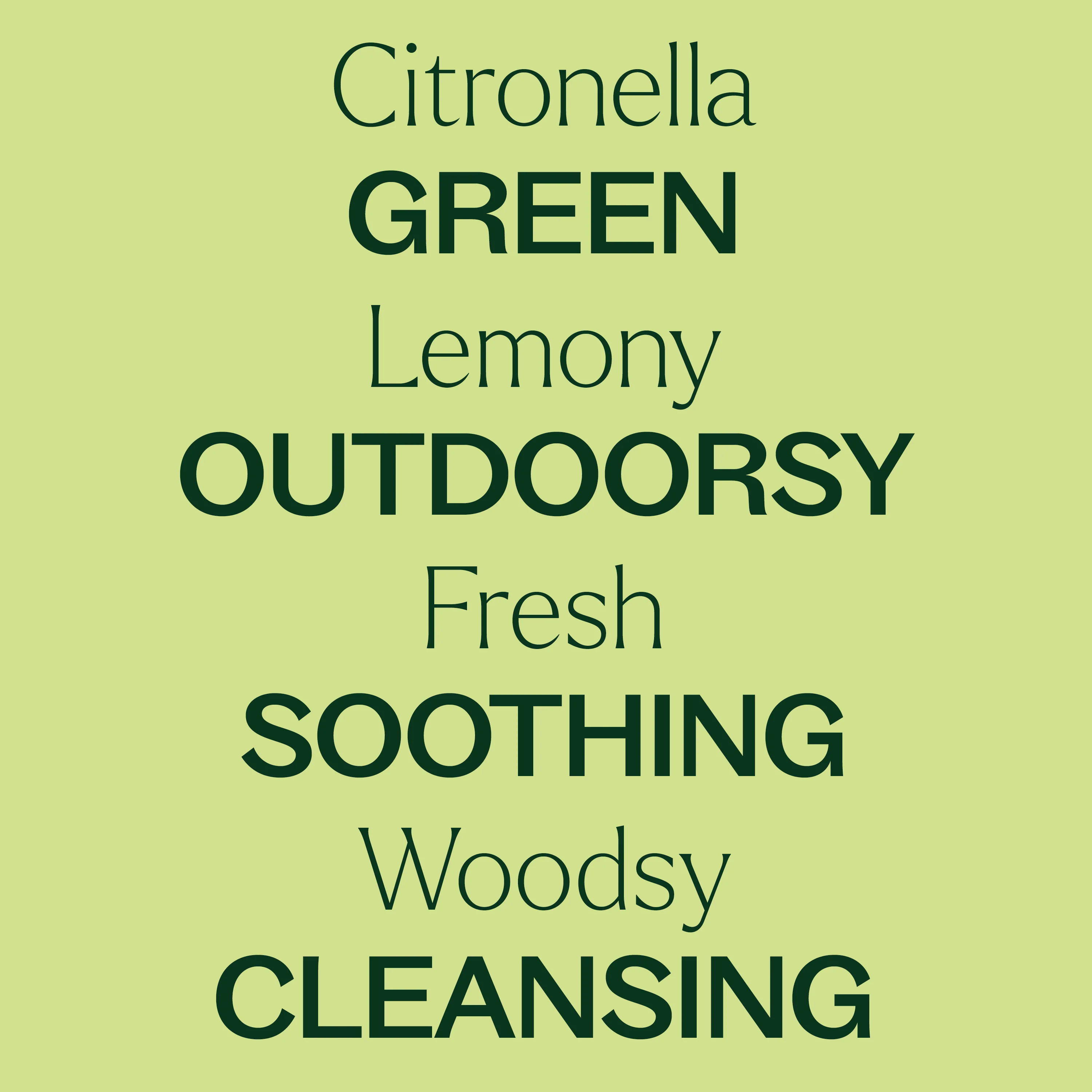 Citronella Essential Oil - Image 4