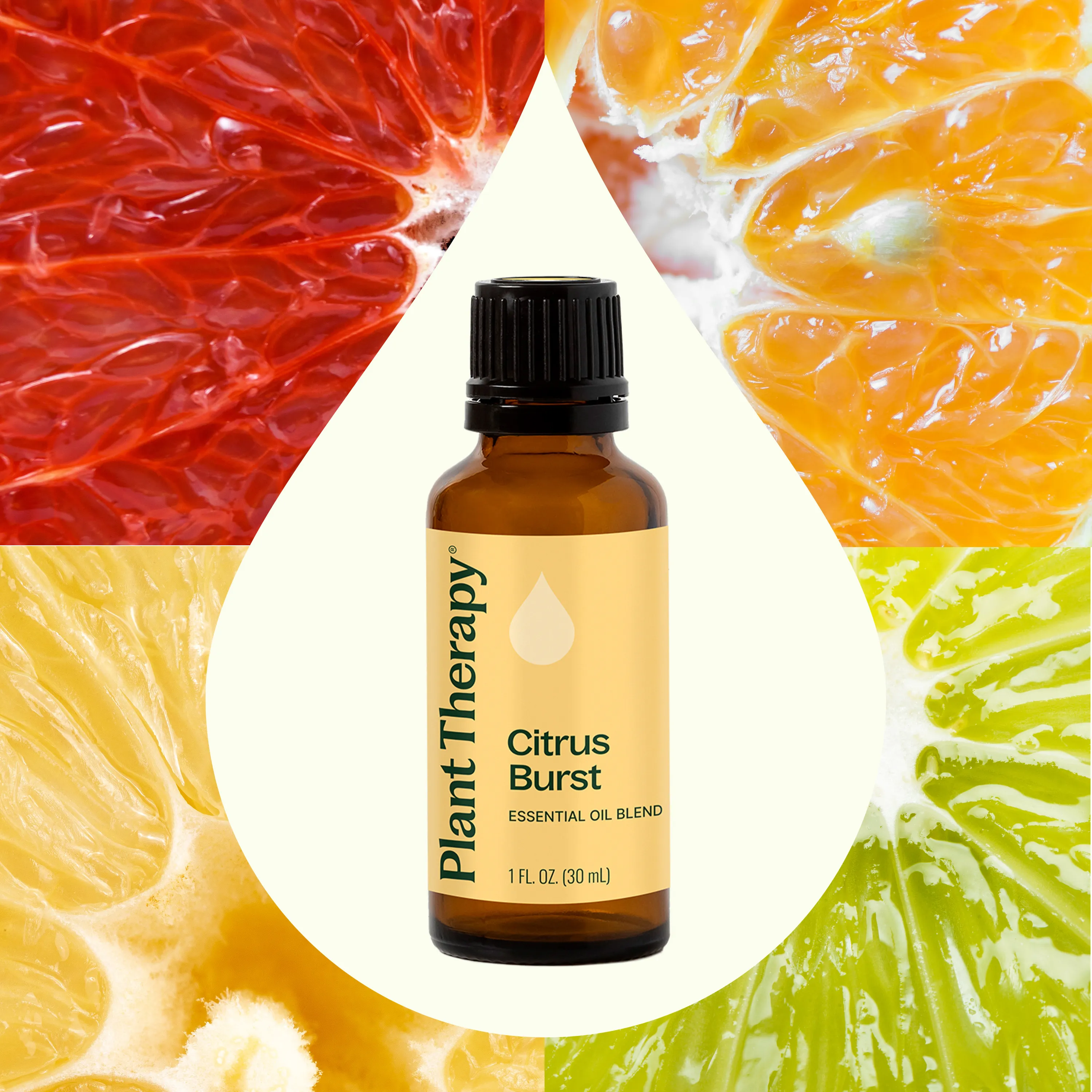 Citrus Burst Essential Oil Blend - Image 5
