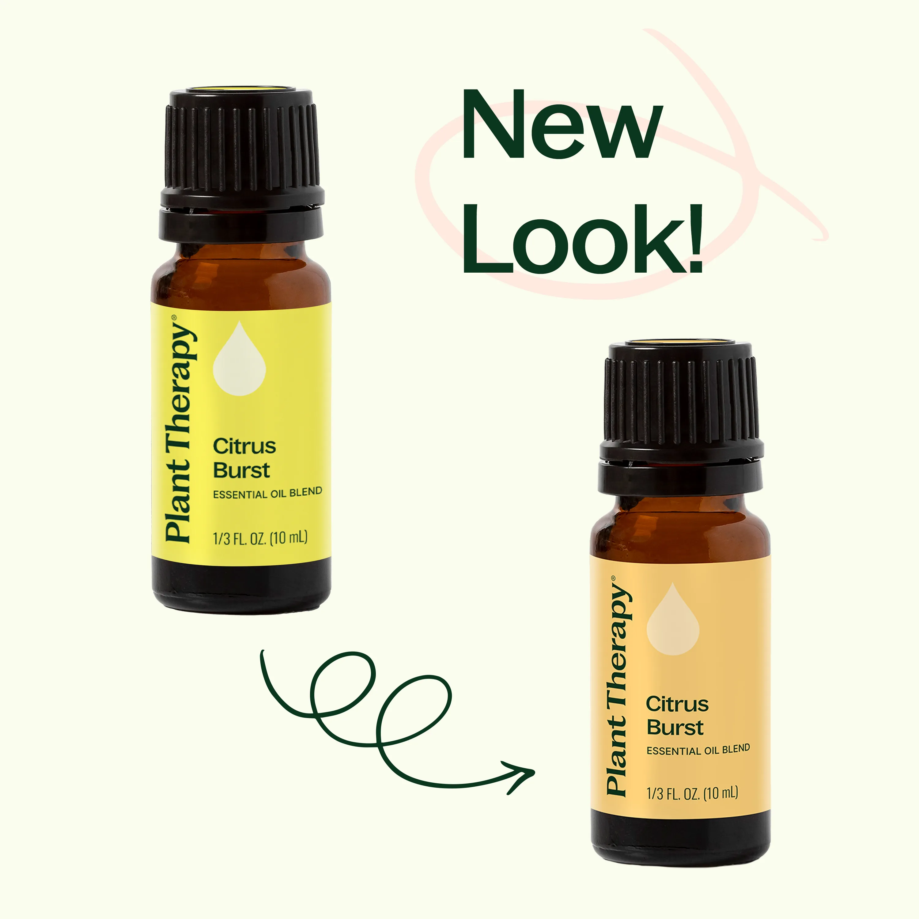Citrus Burst Essential Oil Blend - Image 8
