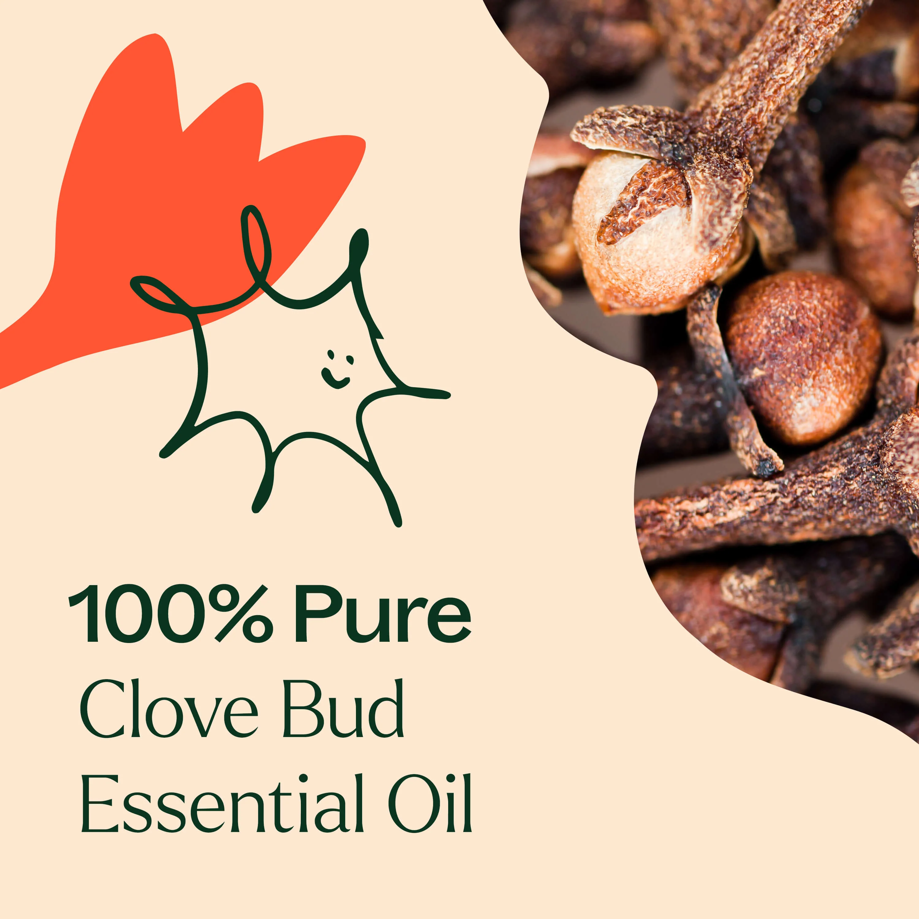 Clove Bud Essential Oil - Image 5