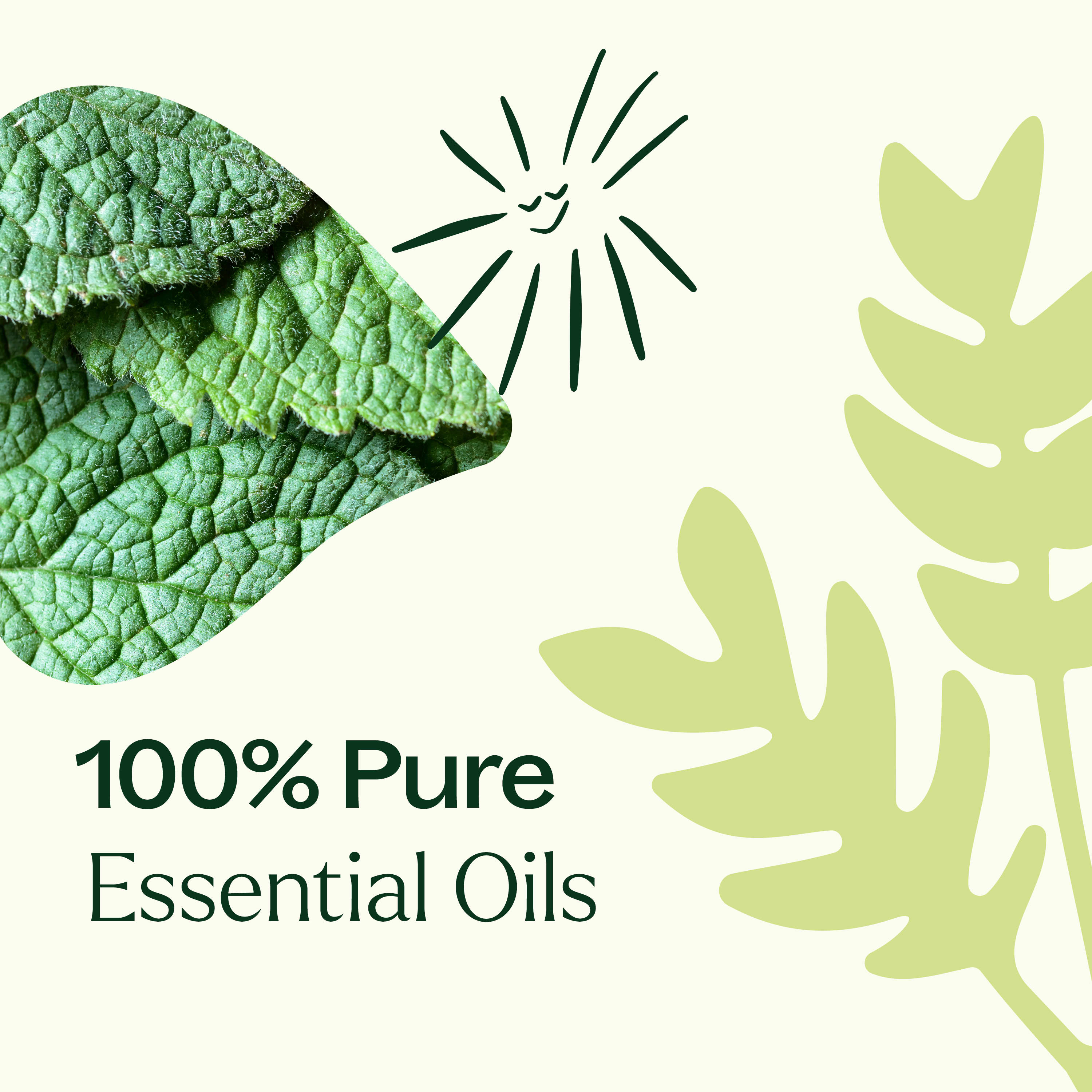 Pain Support Essential Oil Blend Roll On Set - Image 5