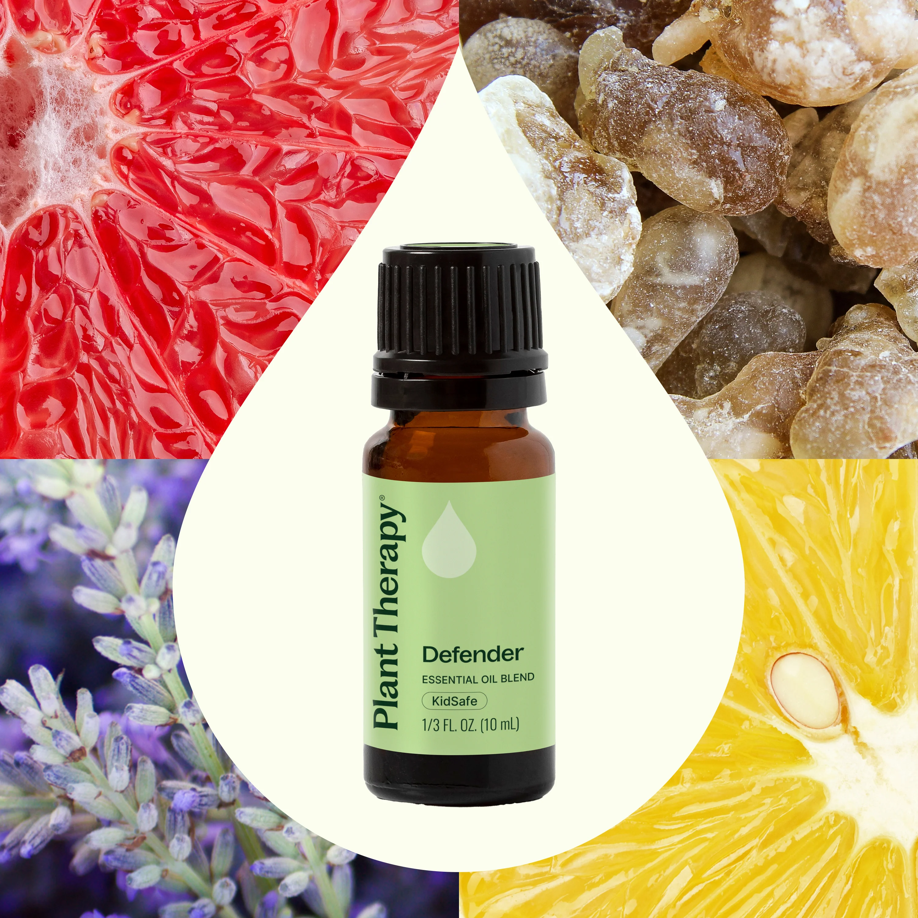 Defender Essential Oil Blend - Image 5