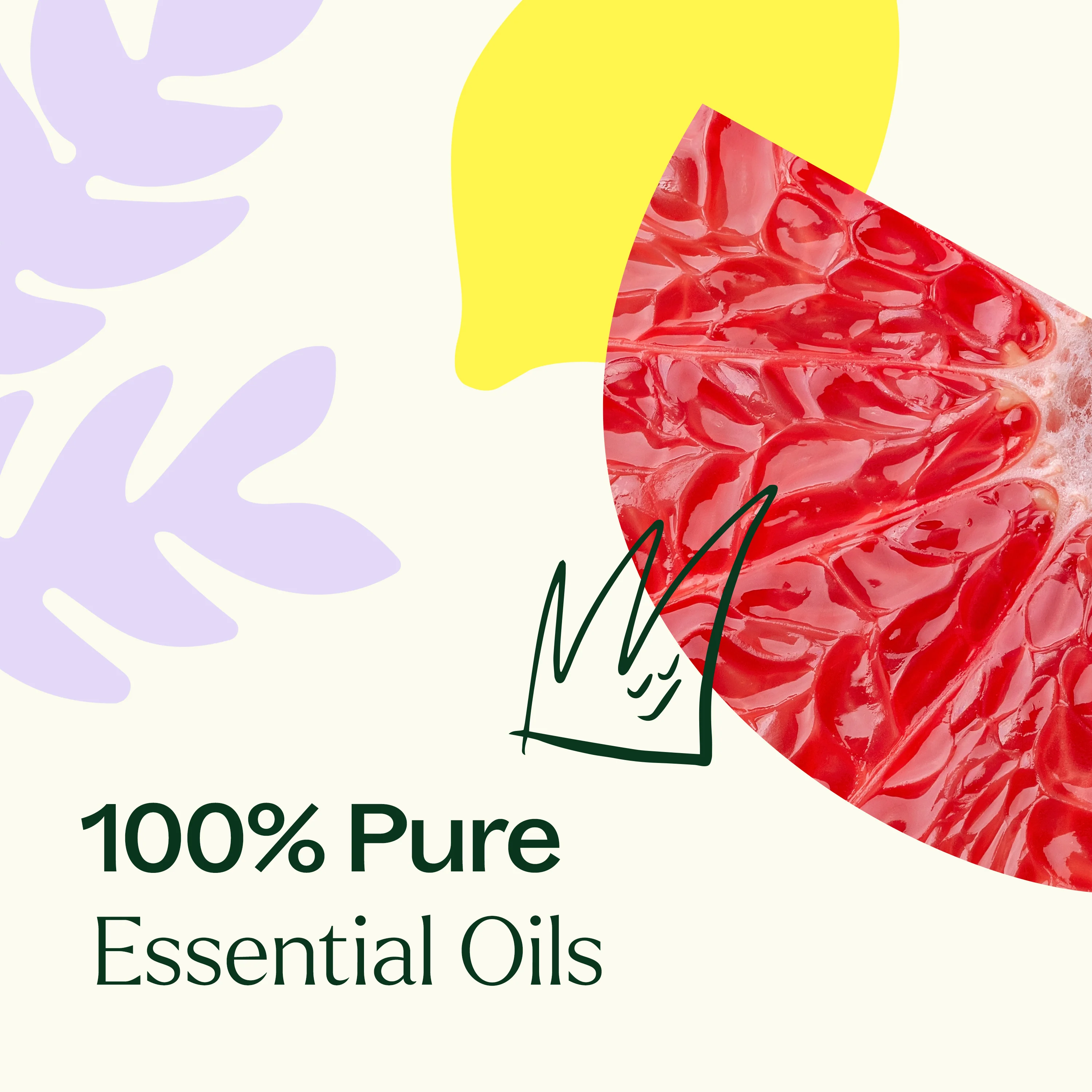 Defender Essential Oil Blend - Image 7