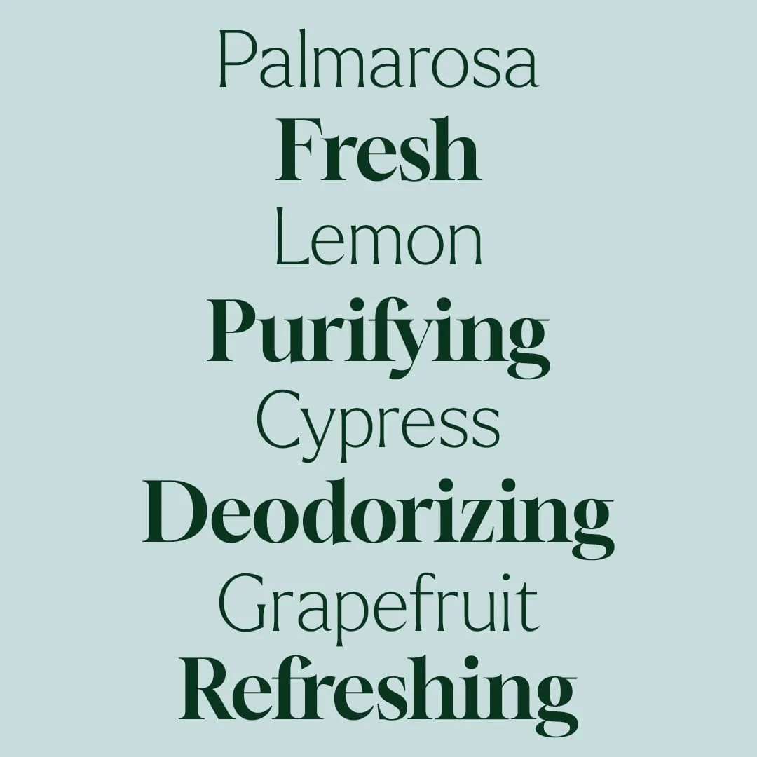 Deodorizing Powder - Image 4