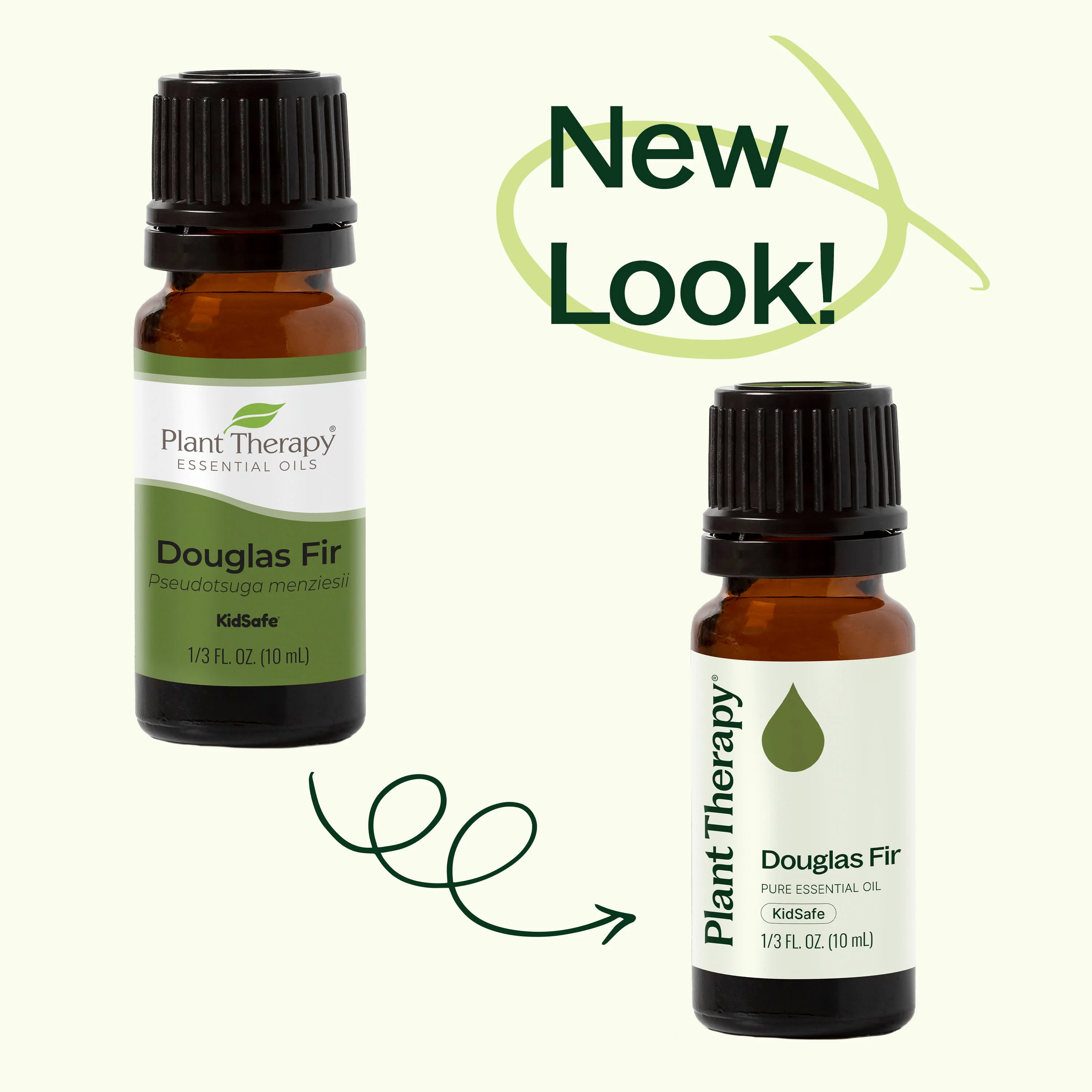 Douglas Fir Essential Oil - Image 3