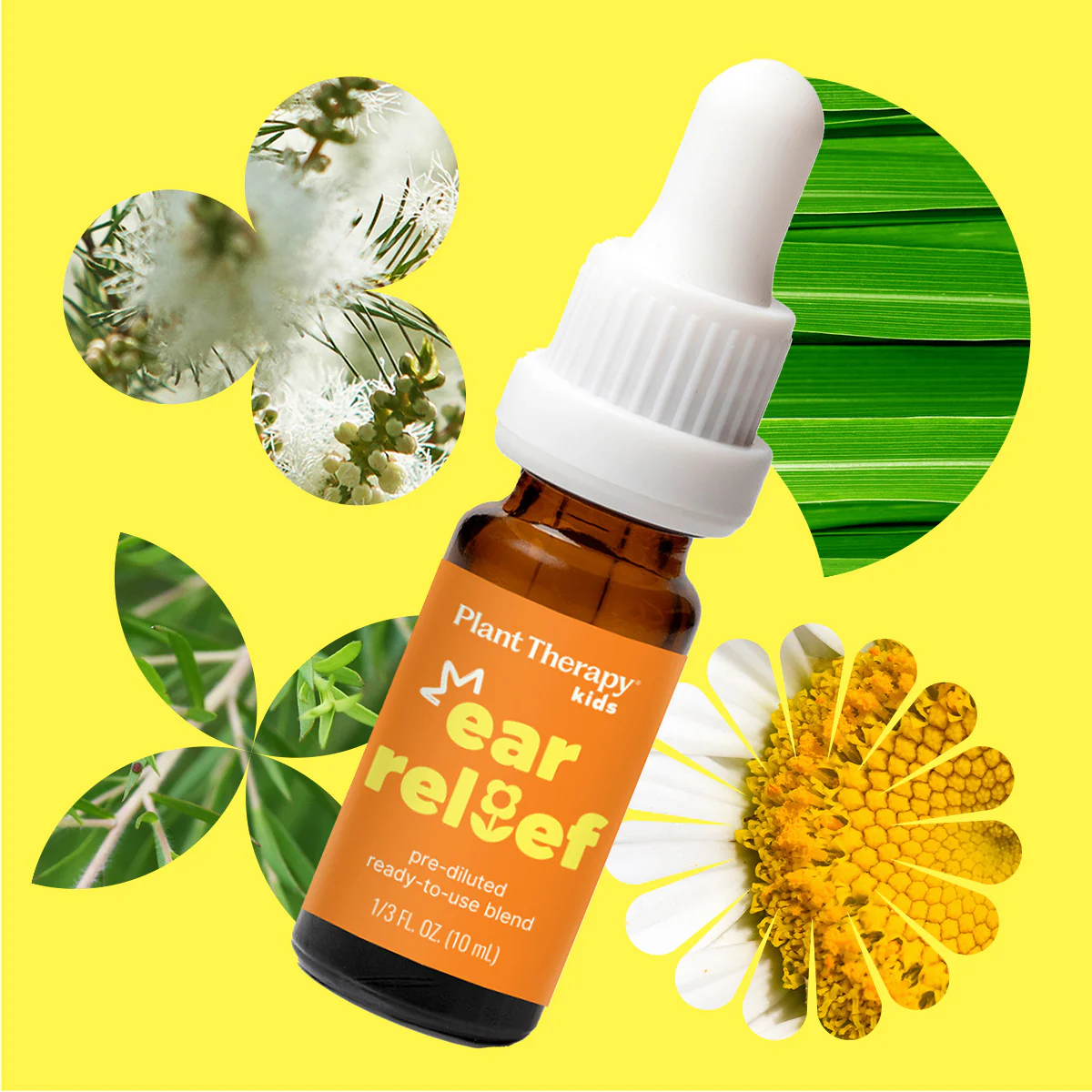 Ear Relief Essential Oil - Image 6