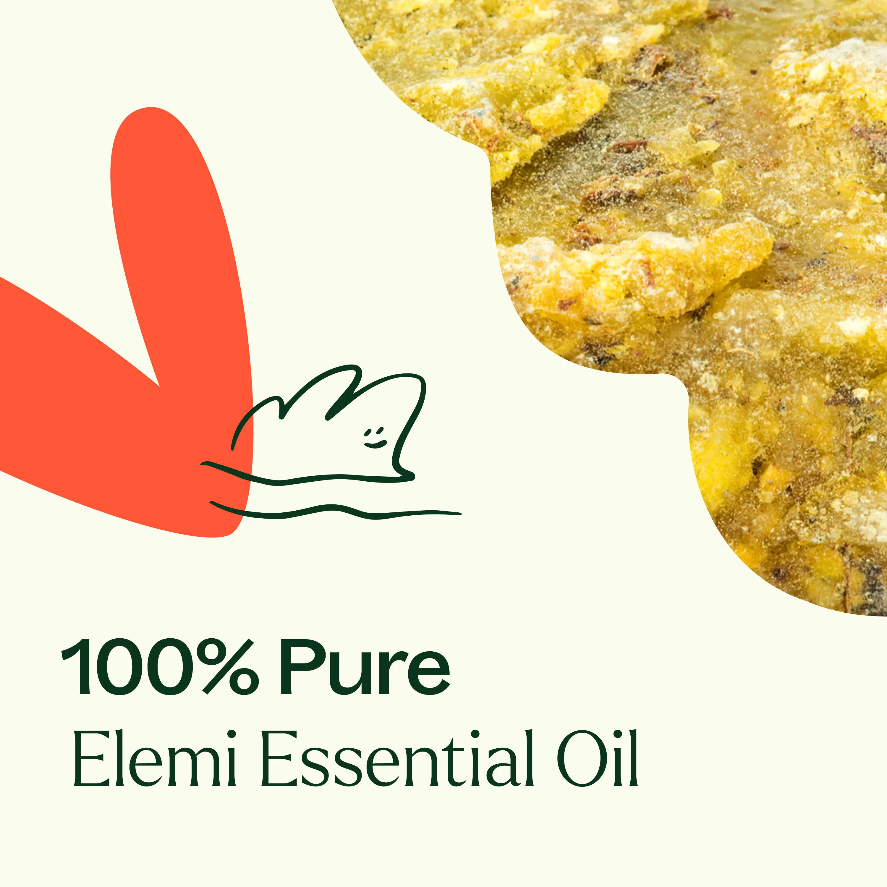 Elemi Essential Oil - Image 4