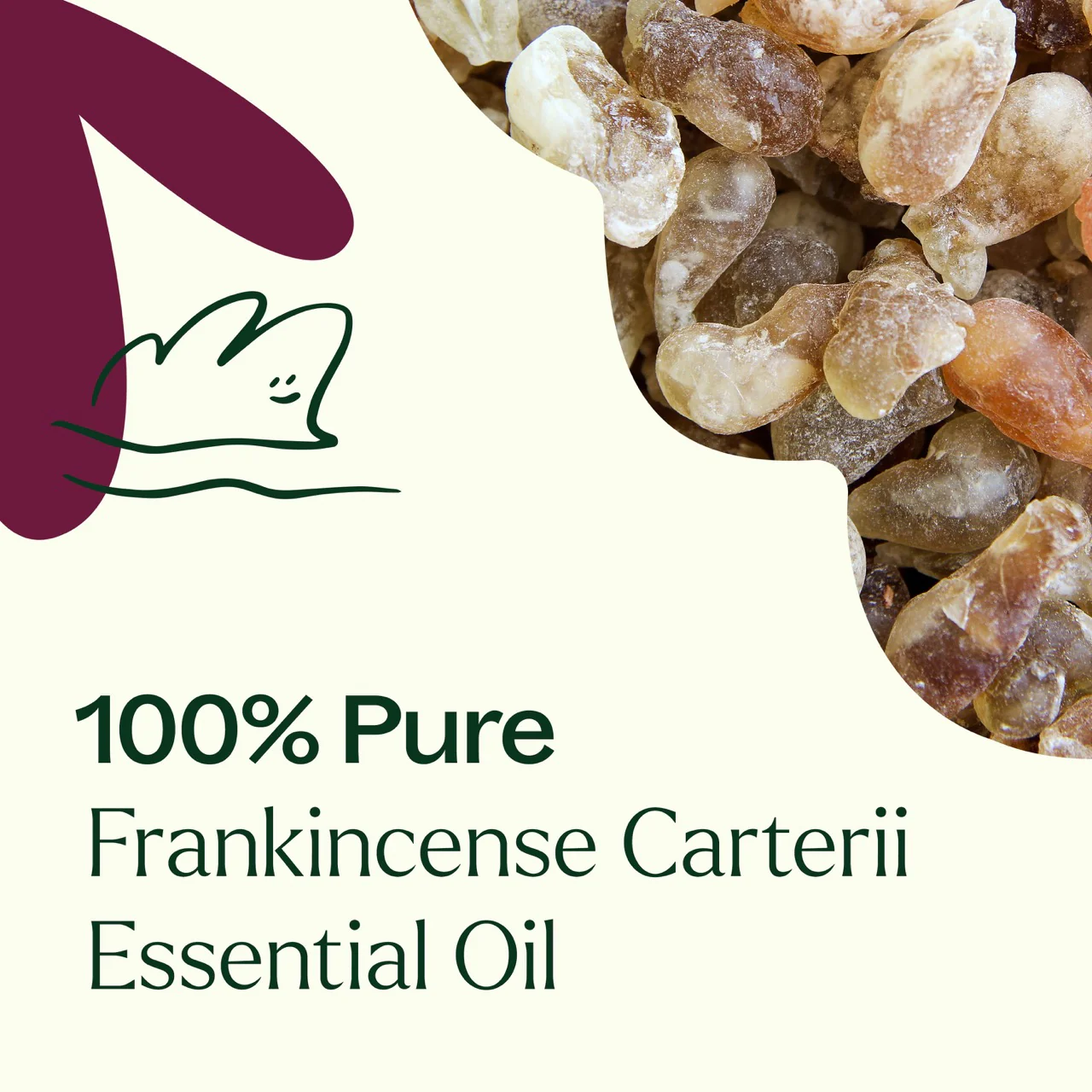 Frankincense Carterii Essential Oil - Image 3
