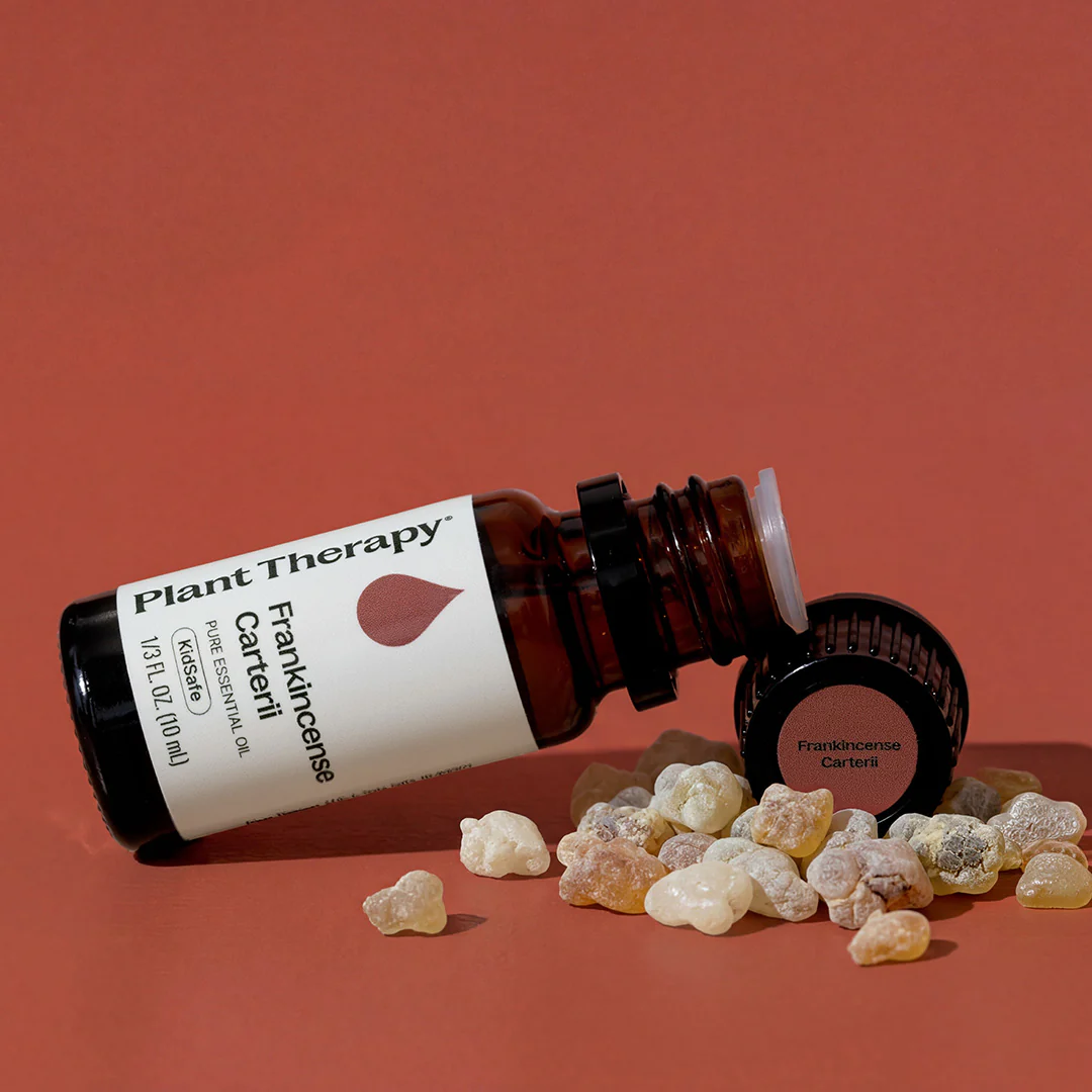 Frankincense Carterii Essential Oil - Image 4