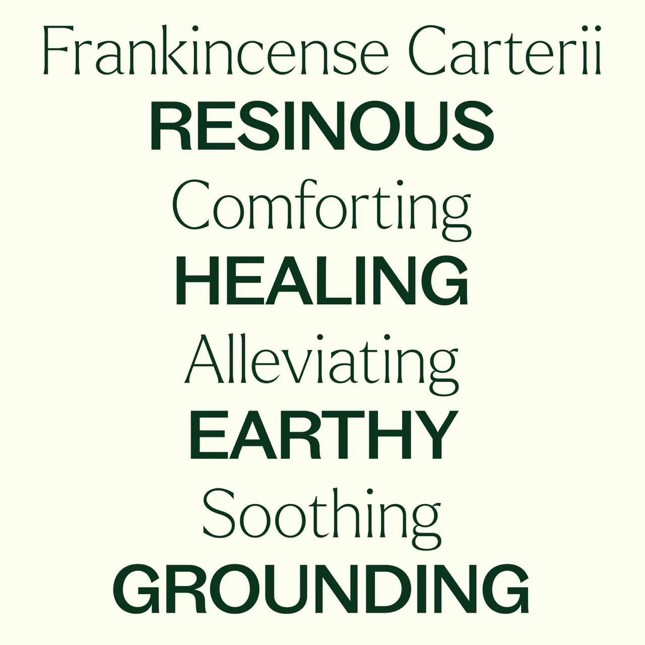 Frankincense Carterii Essential Oil - Image 5