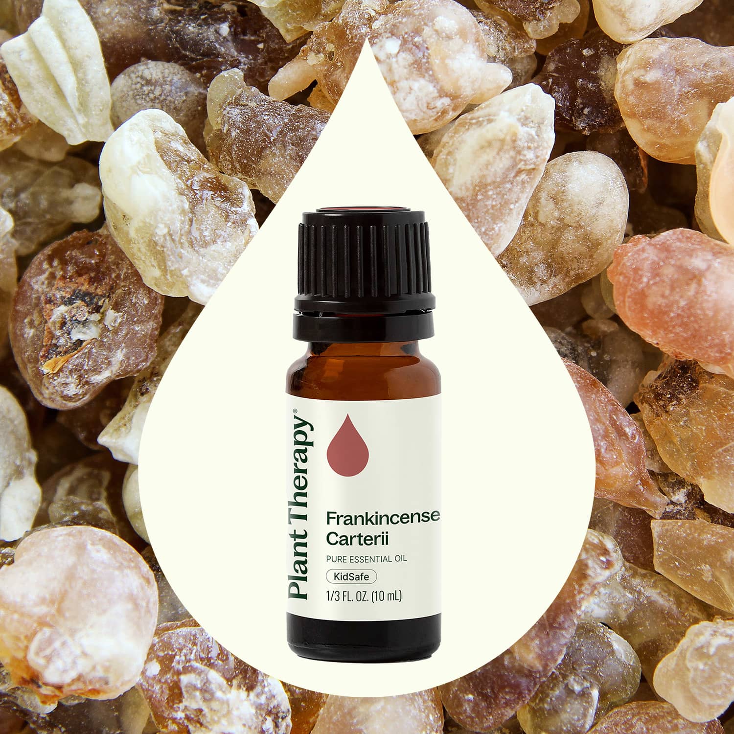 Frankincense Carterii Essential Oil - Image 6