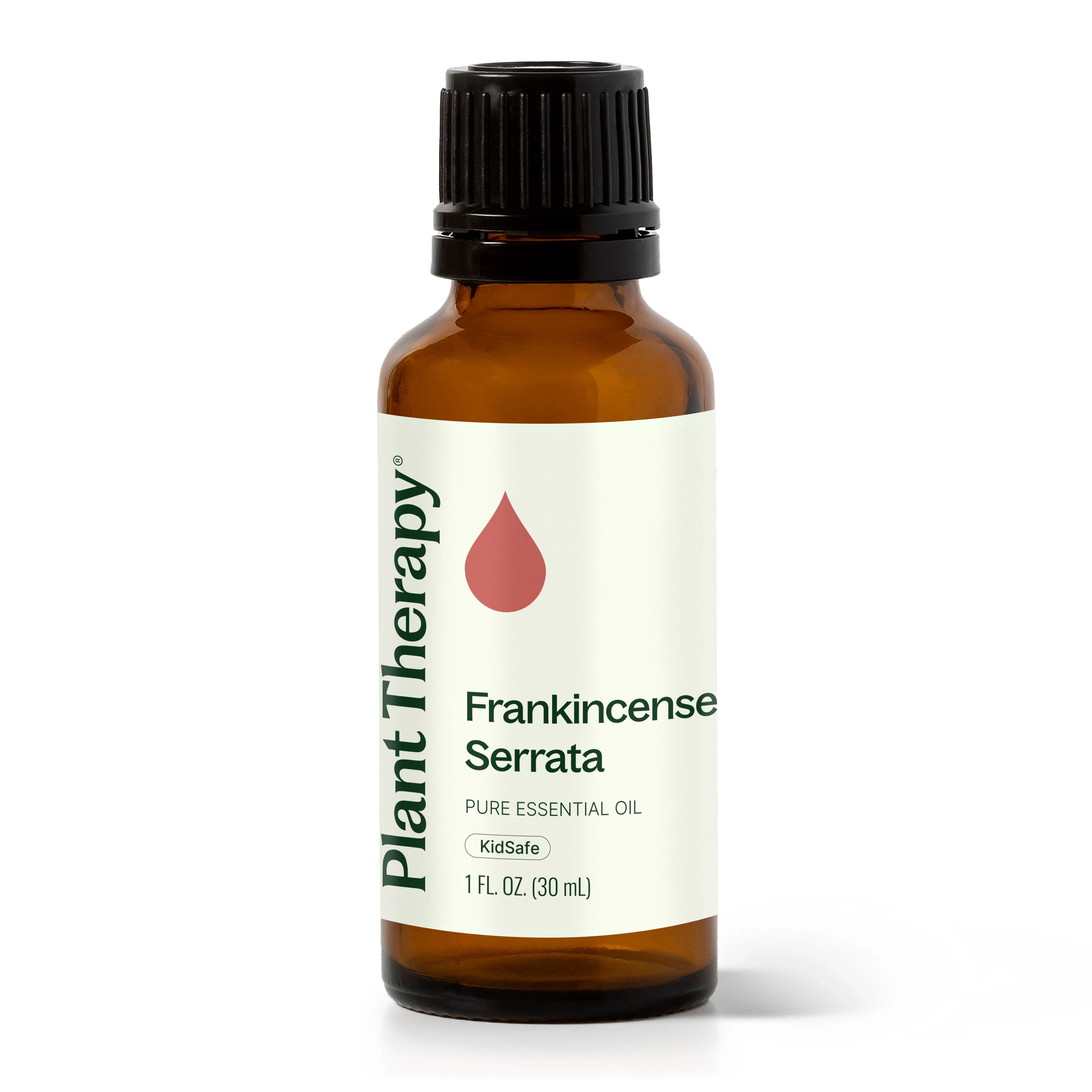 Frankincense Serrata Essential Oil - Image 11