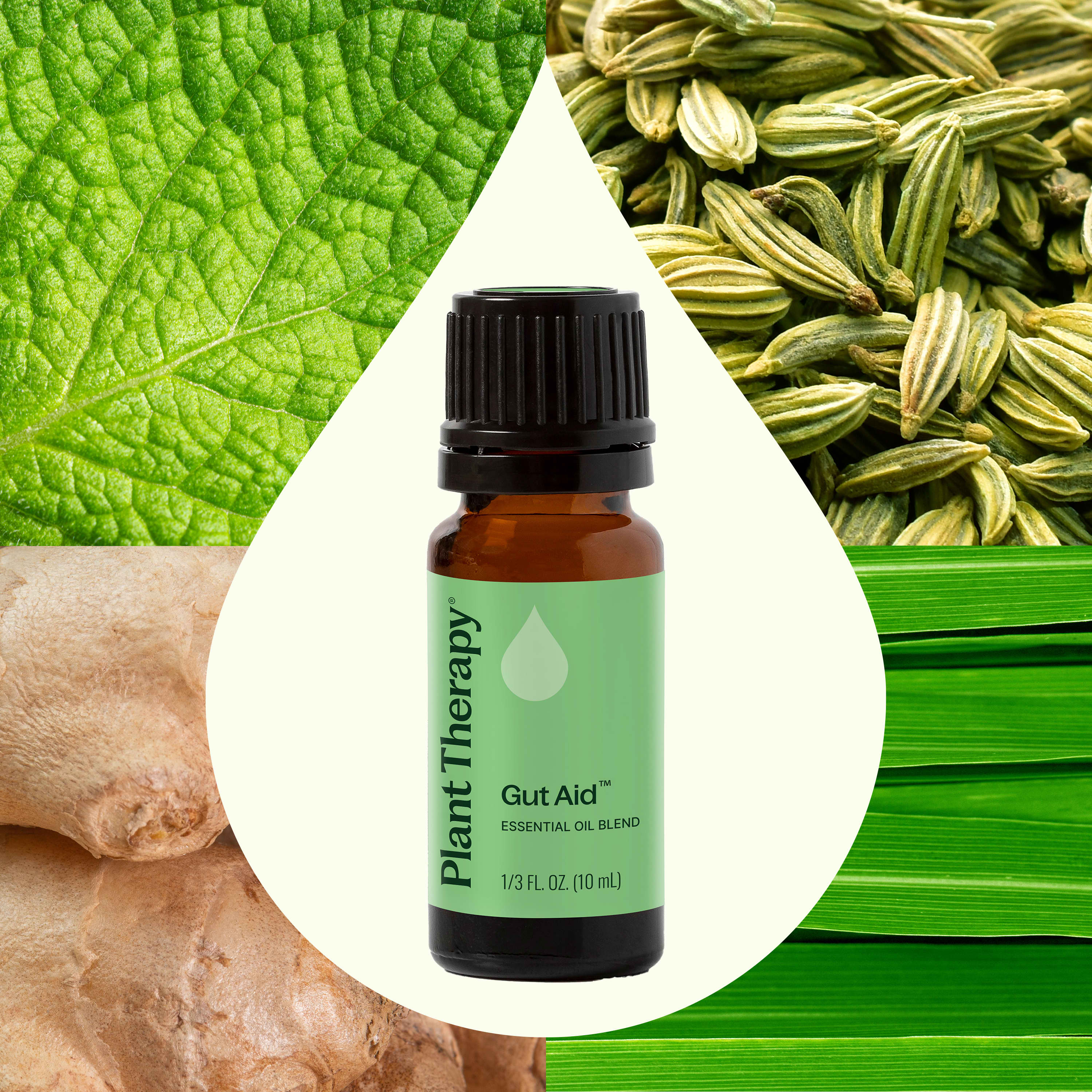 Gut Aid™ Essential Oil Blend - Image 2