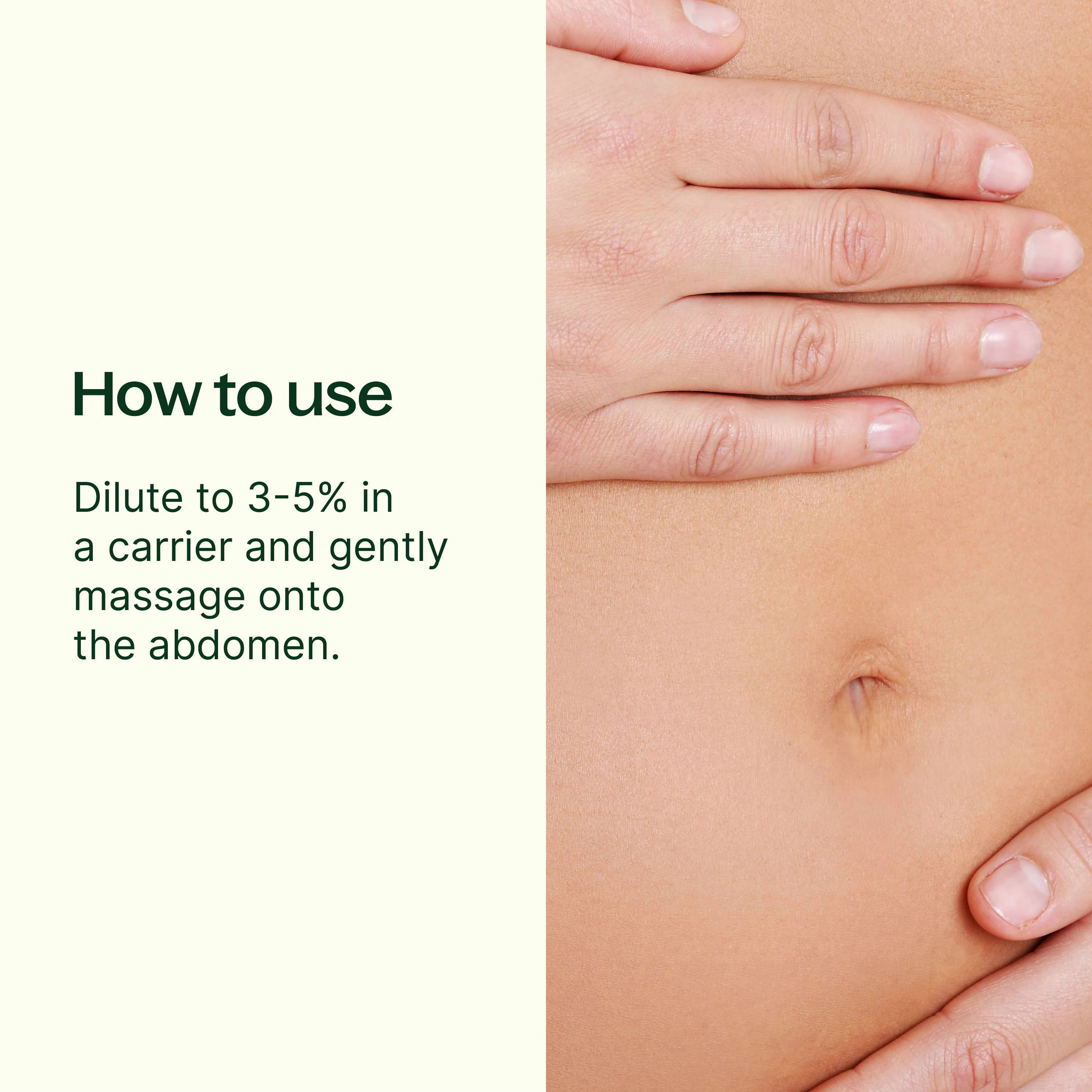 Gut Aid™ Essential Oil Blend - Image 3