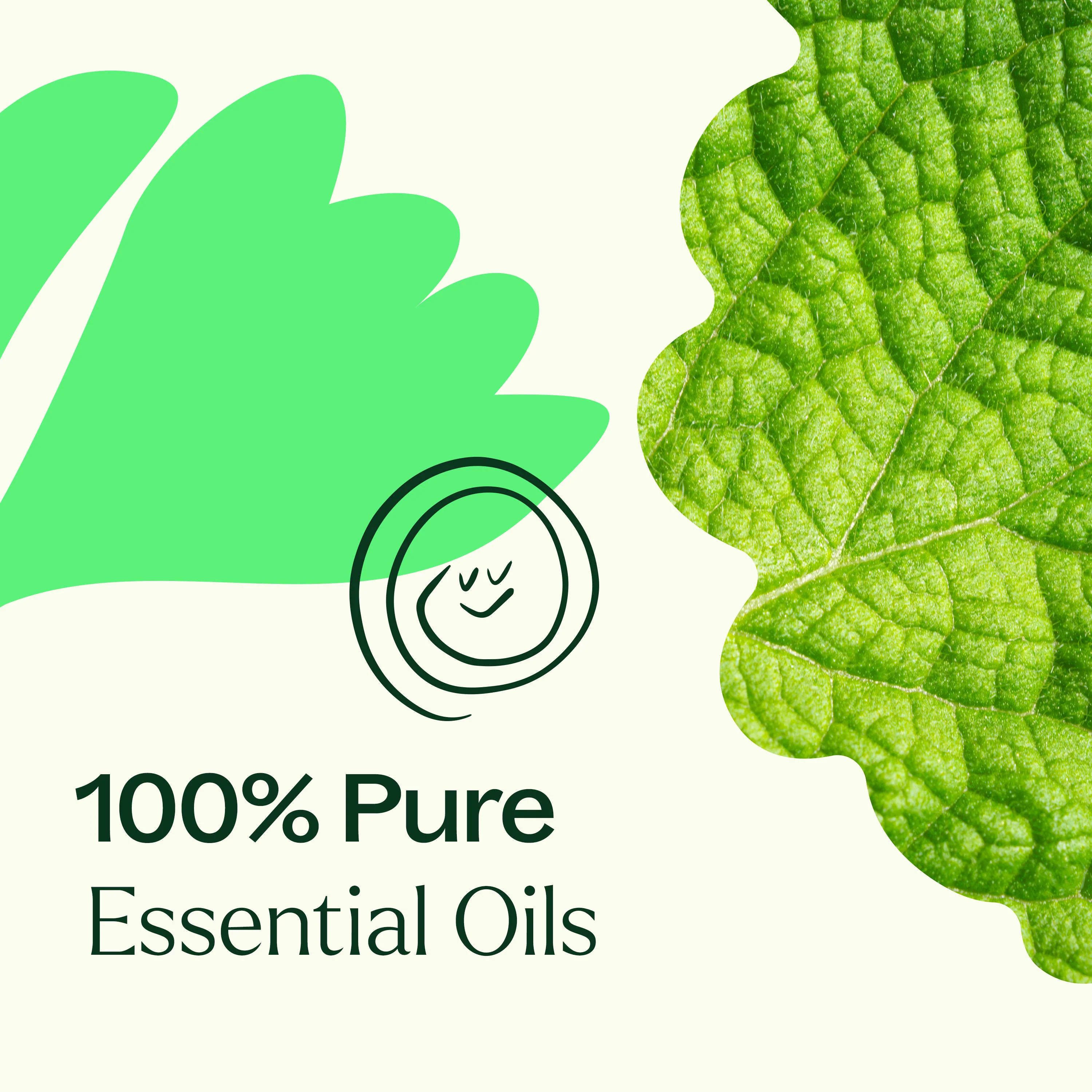 Gut Aid™ Essential Oil Blend - Image 4