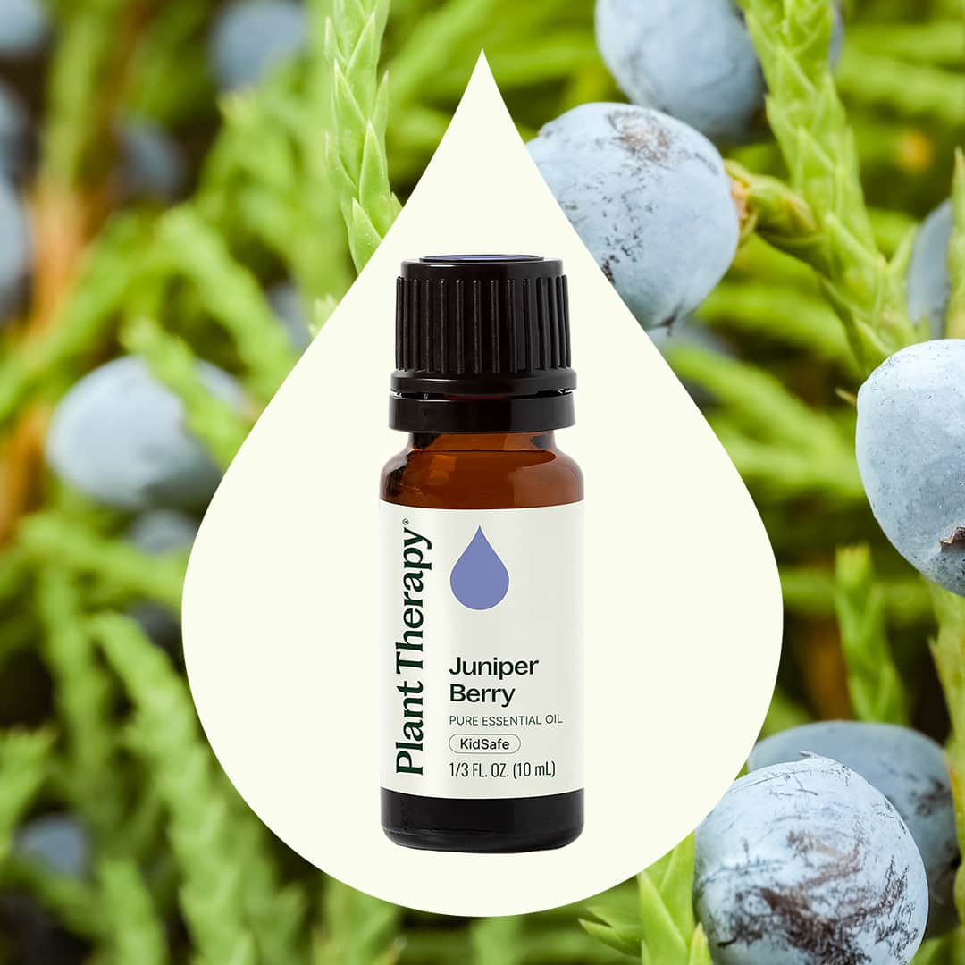 Juniper Berry Essential Oil - Image 2