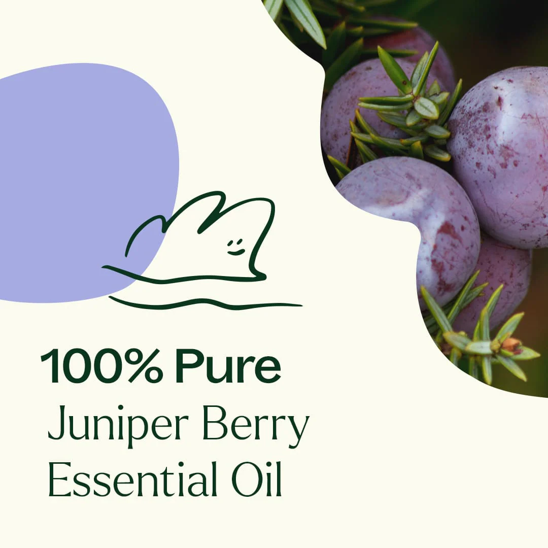 Juniper Berry Essential Oil - Image 4