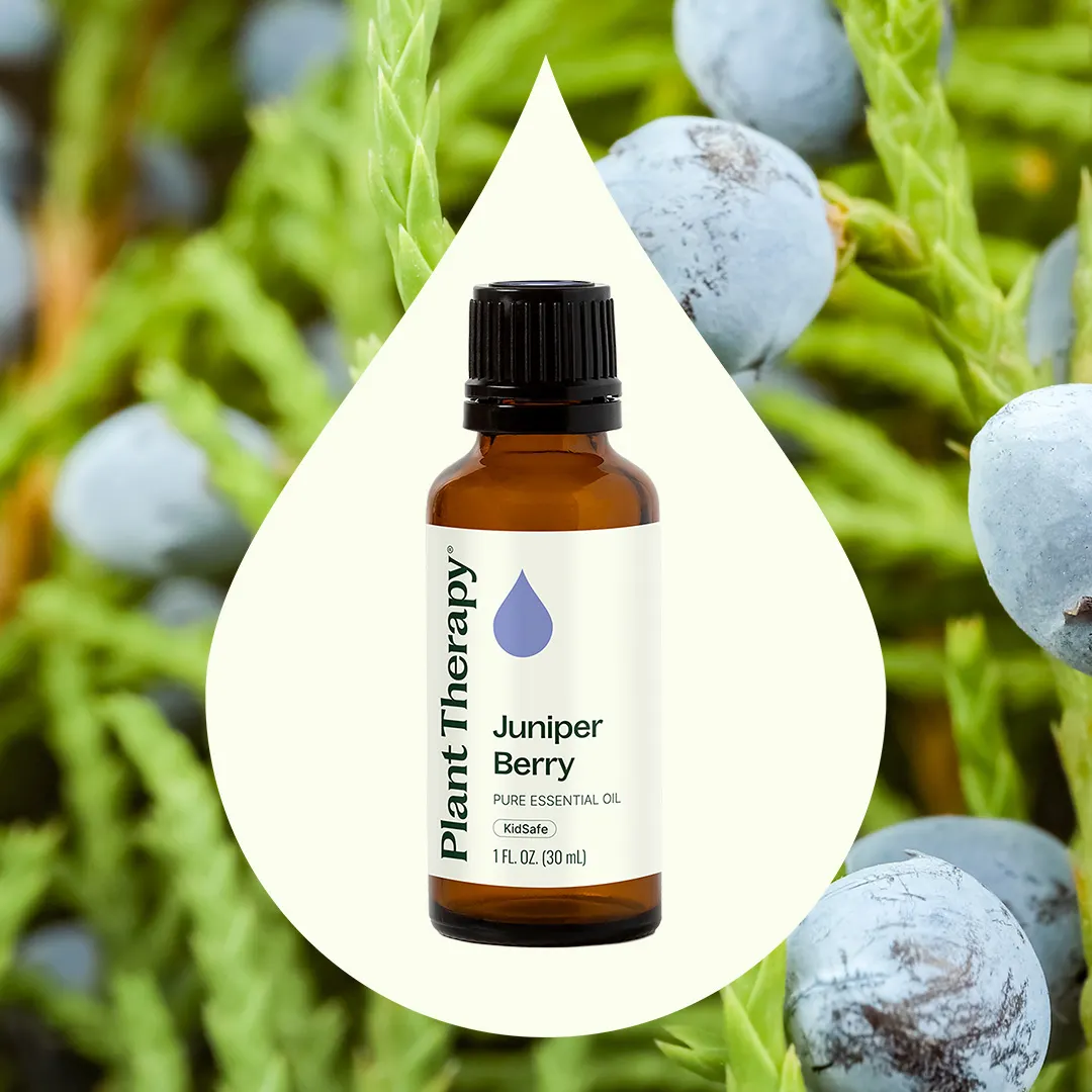 Juniper Berry Essential Oil - Image 7