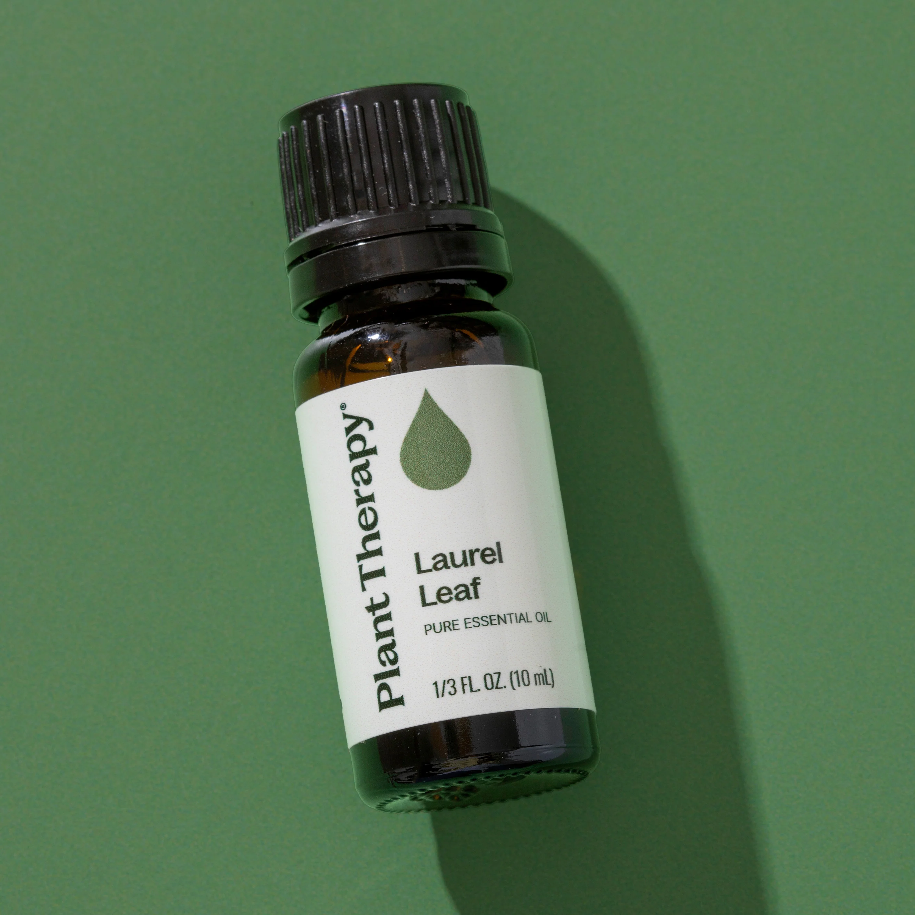 Laurel Leaf Essential Oil - Image 10