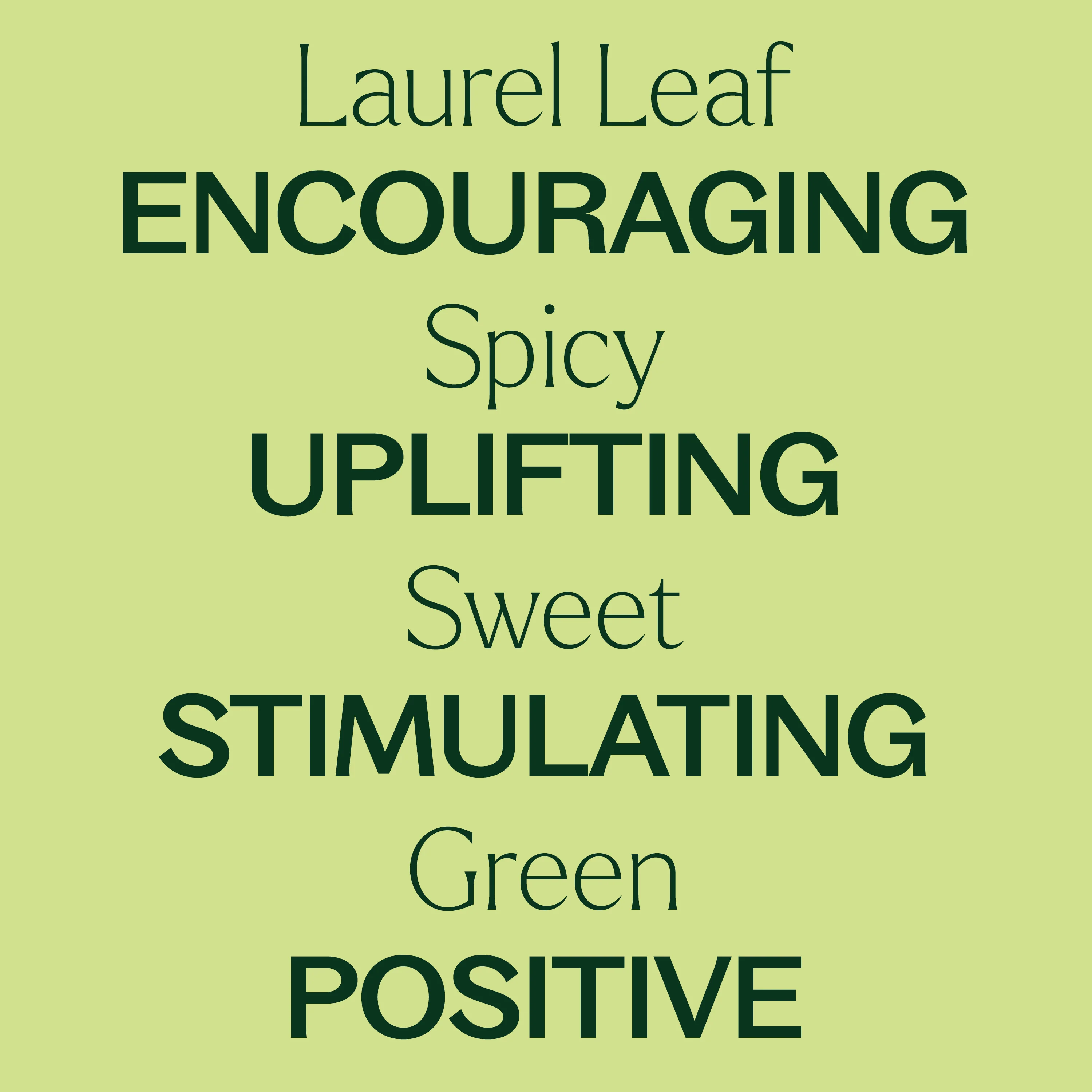 Laurel Leaf Essential Oil - Image 3
