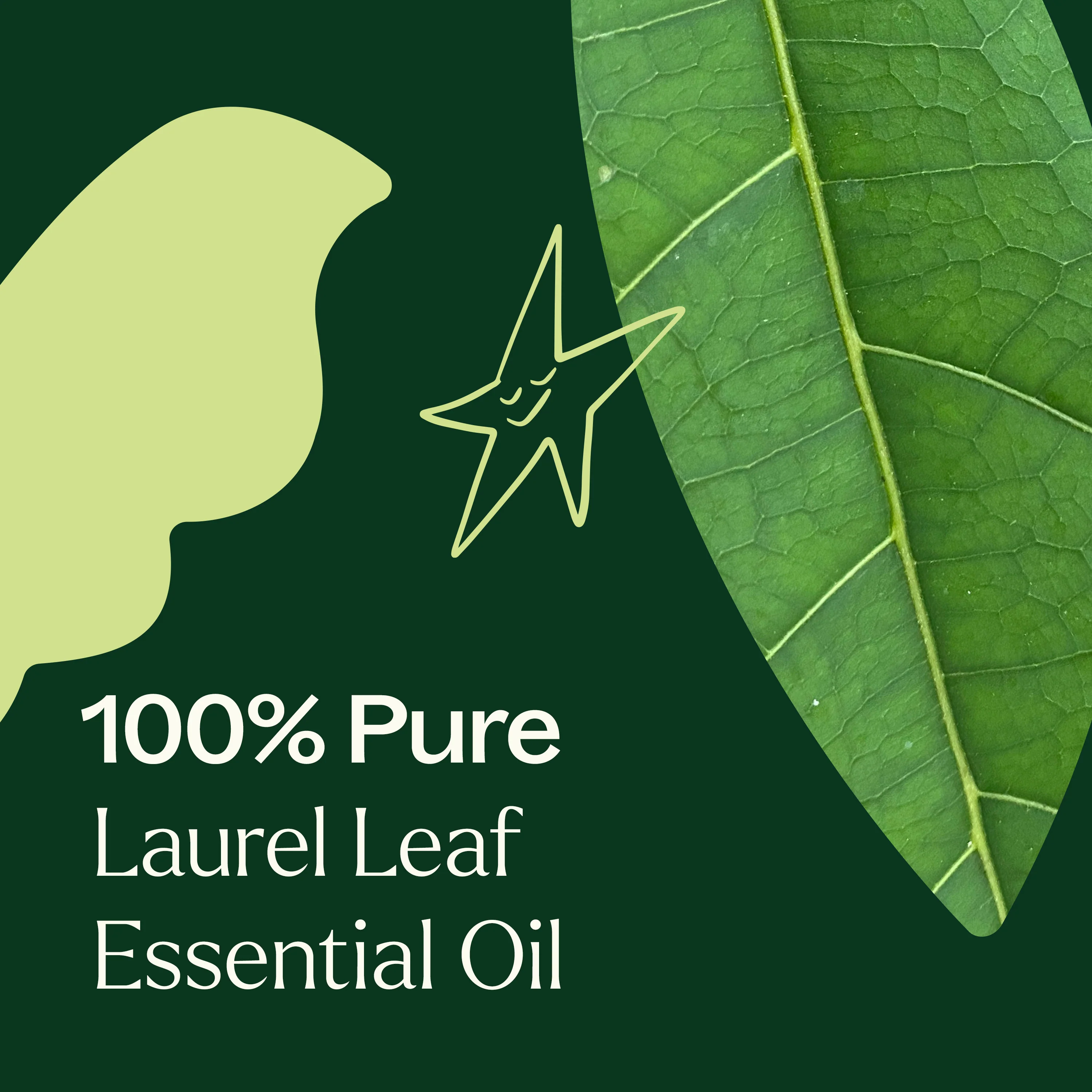 Laurel Leaf Essential Oil - Image 4