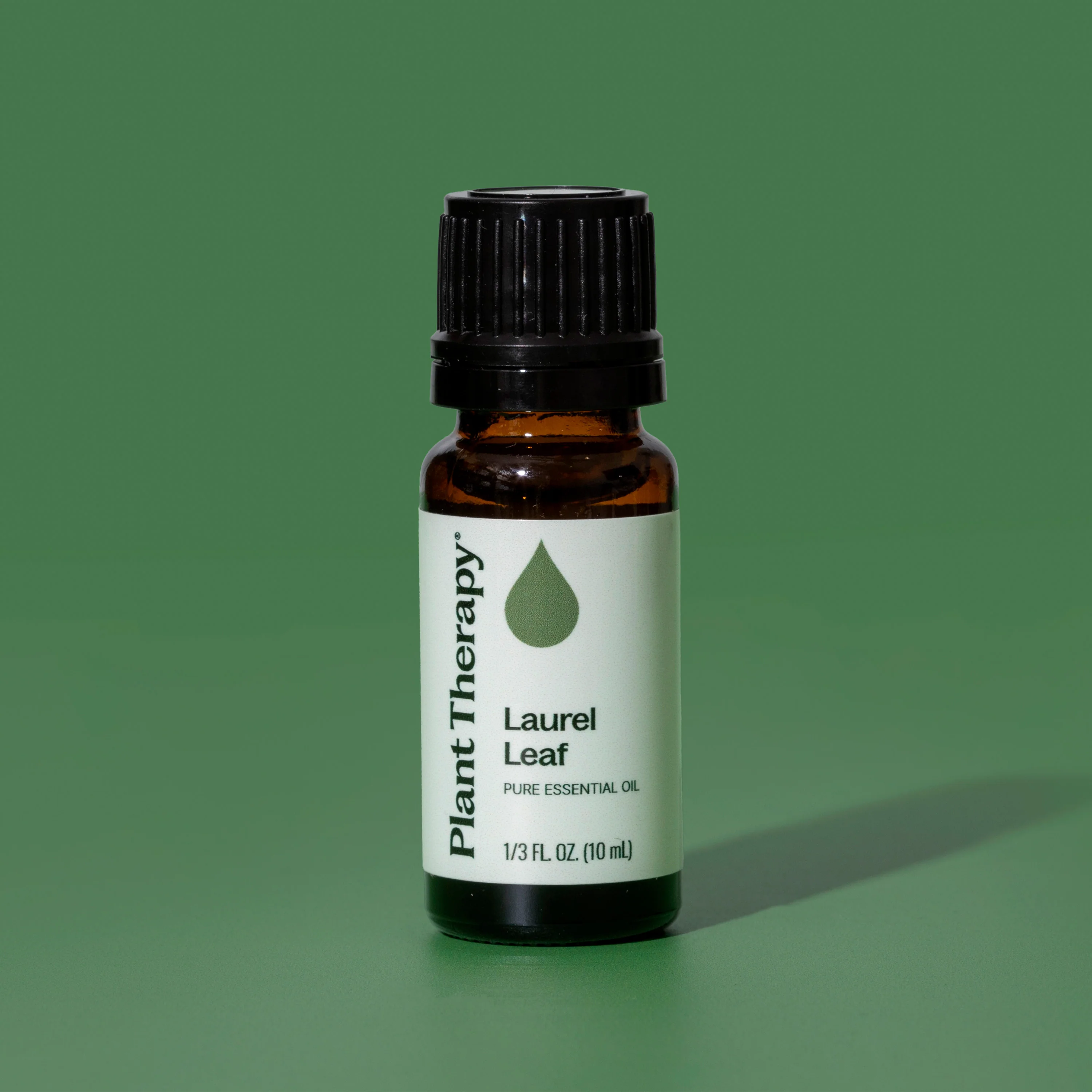 Laurel Leaf Essential Oil - Image 5