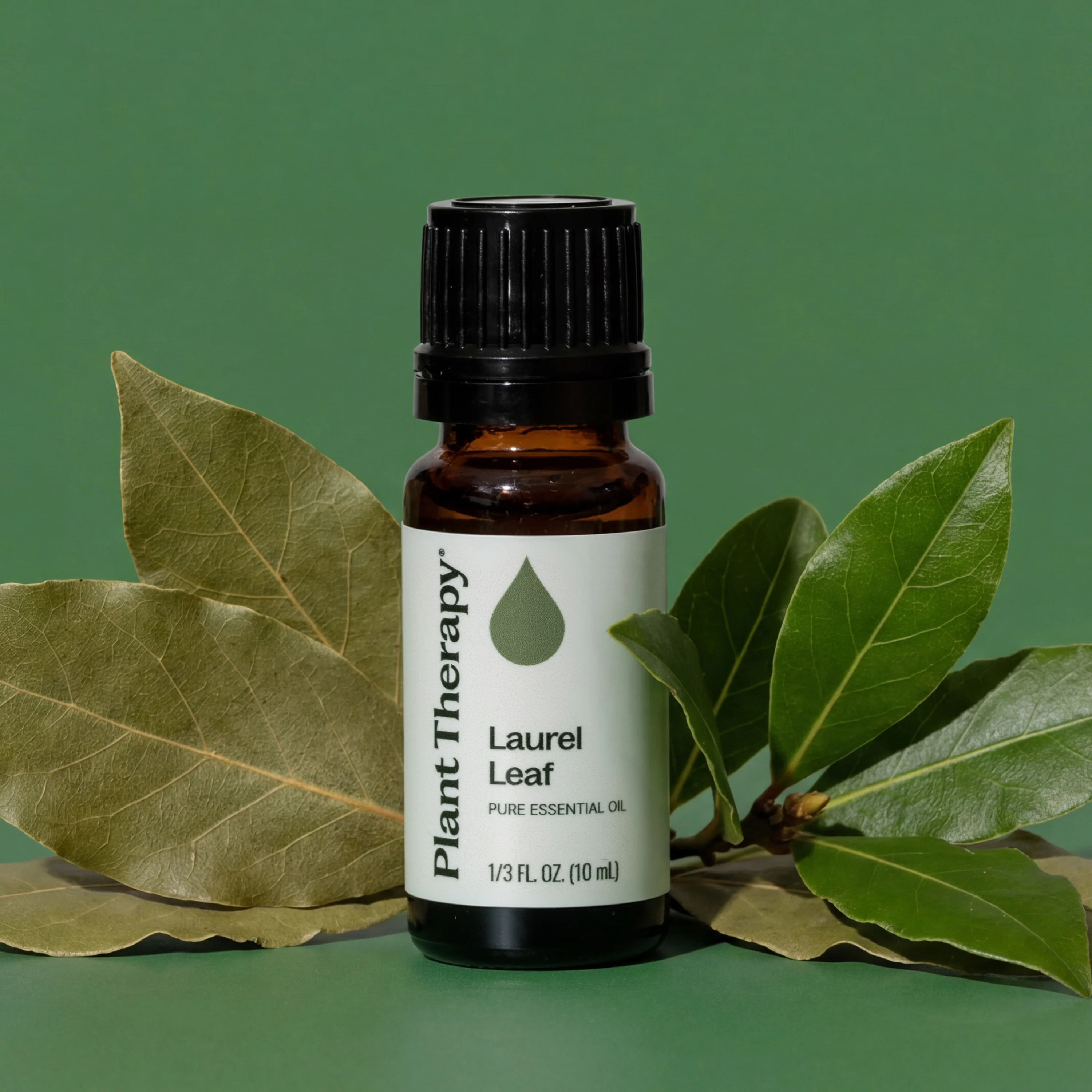 Laurel Leaf Essential Oil - Image 6