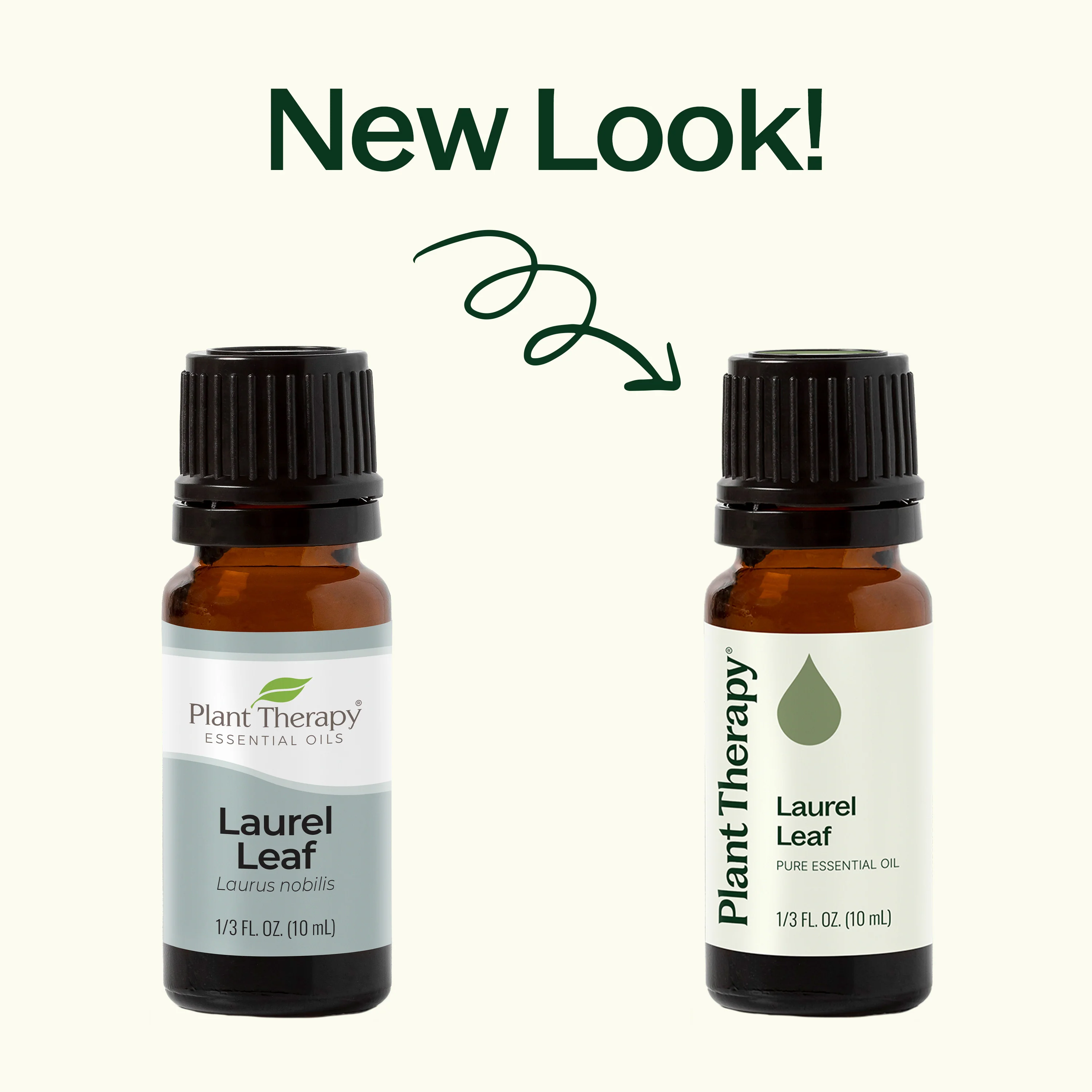 Laurel Leaf Essential Oil - Image 7