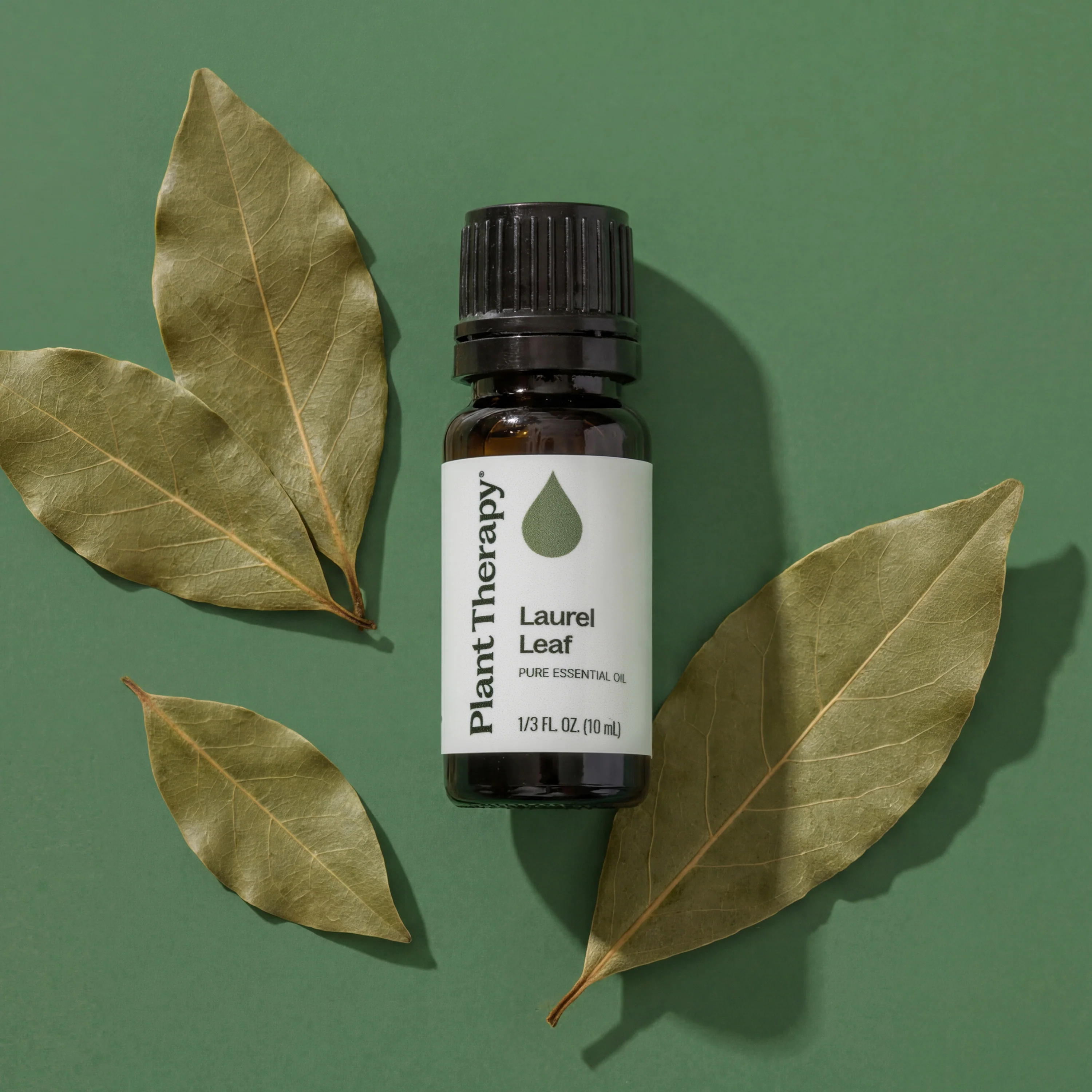 Laurel Leaf Essential Oil - Image 8