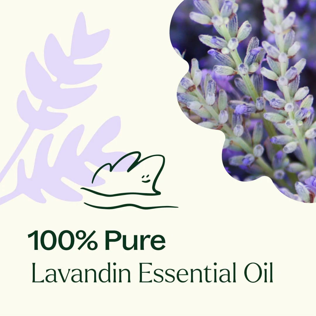 Lavandin Essential Oil - Image 4