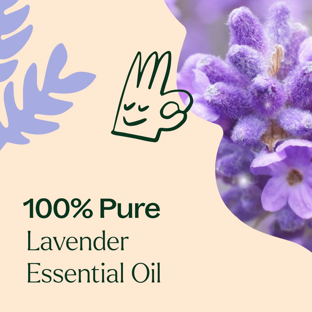 Lavender Essential Oil - Image 3