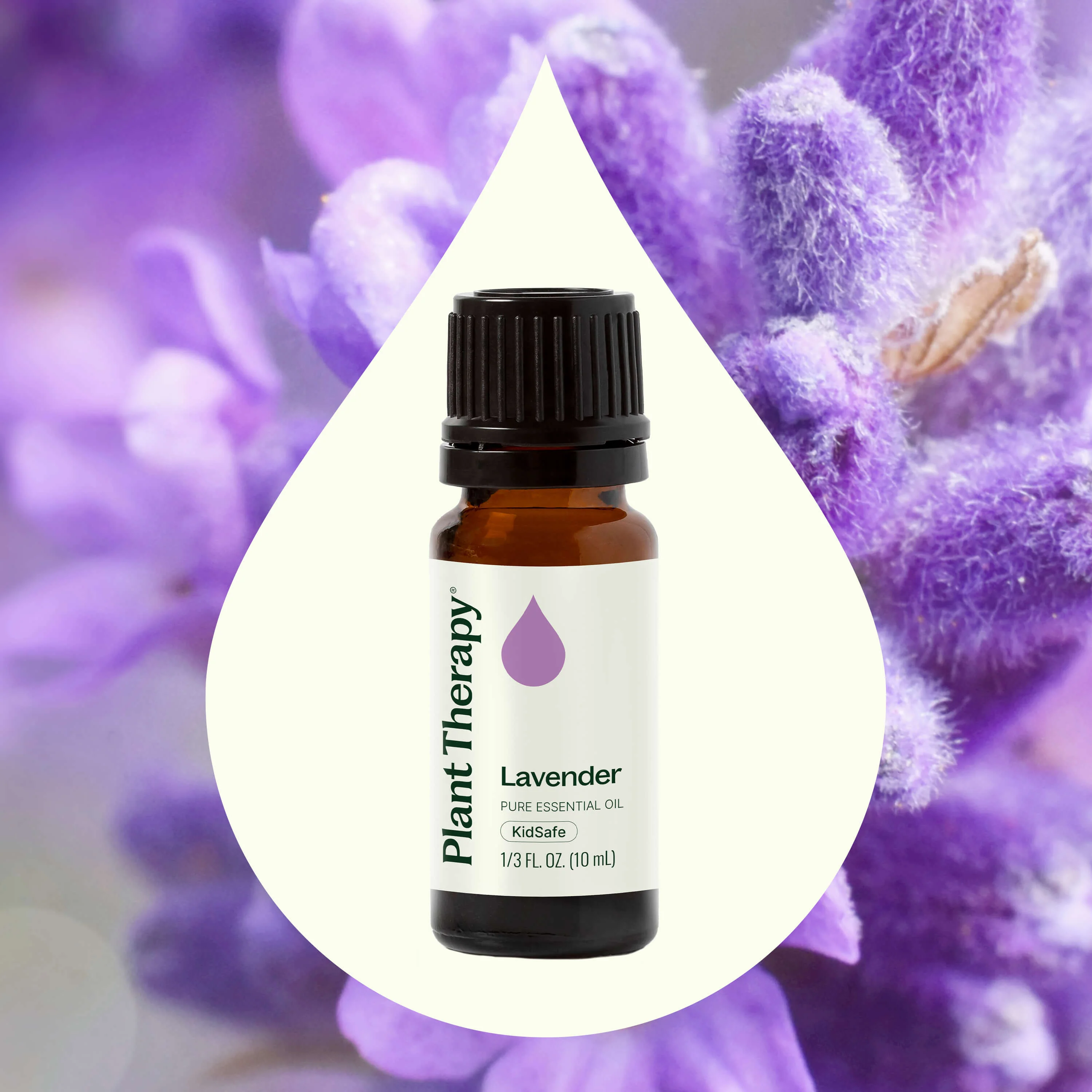 Lavender Essential Oil - Image 6