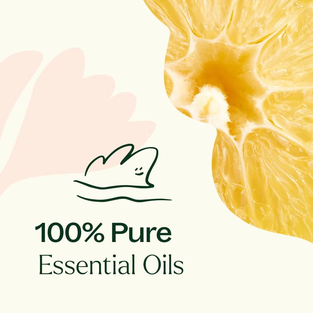 Lemon Cupcake Essential Oil Blend - Image 4
