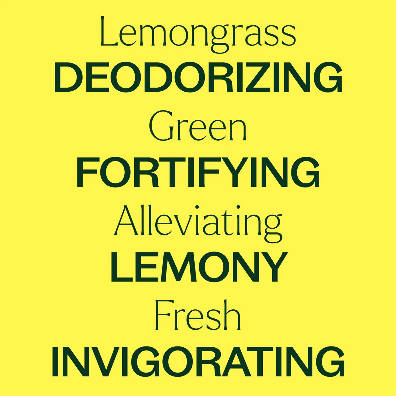 Lemongrass Essential Oil - Image 4