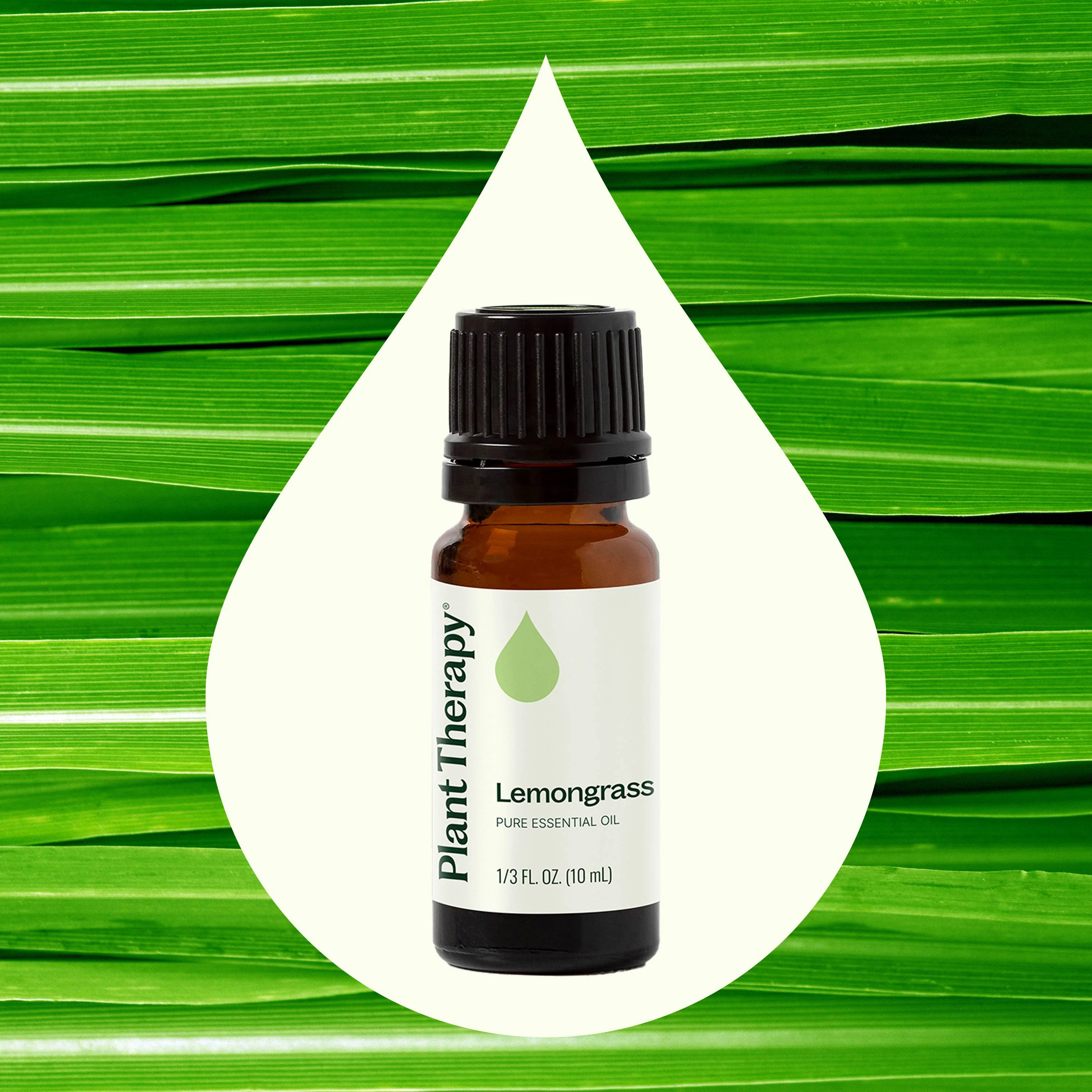 Lemongrass Essential Oil - Image 5