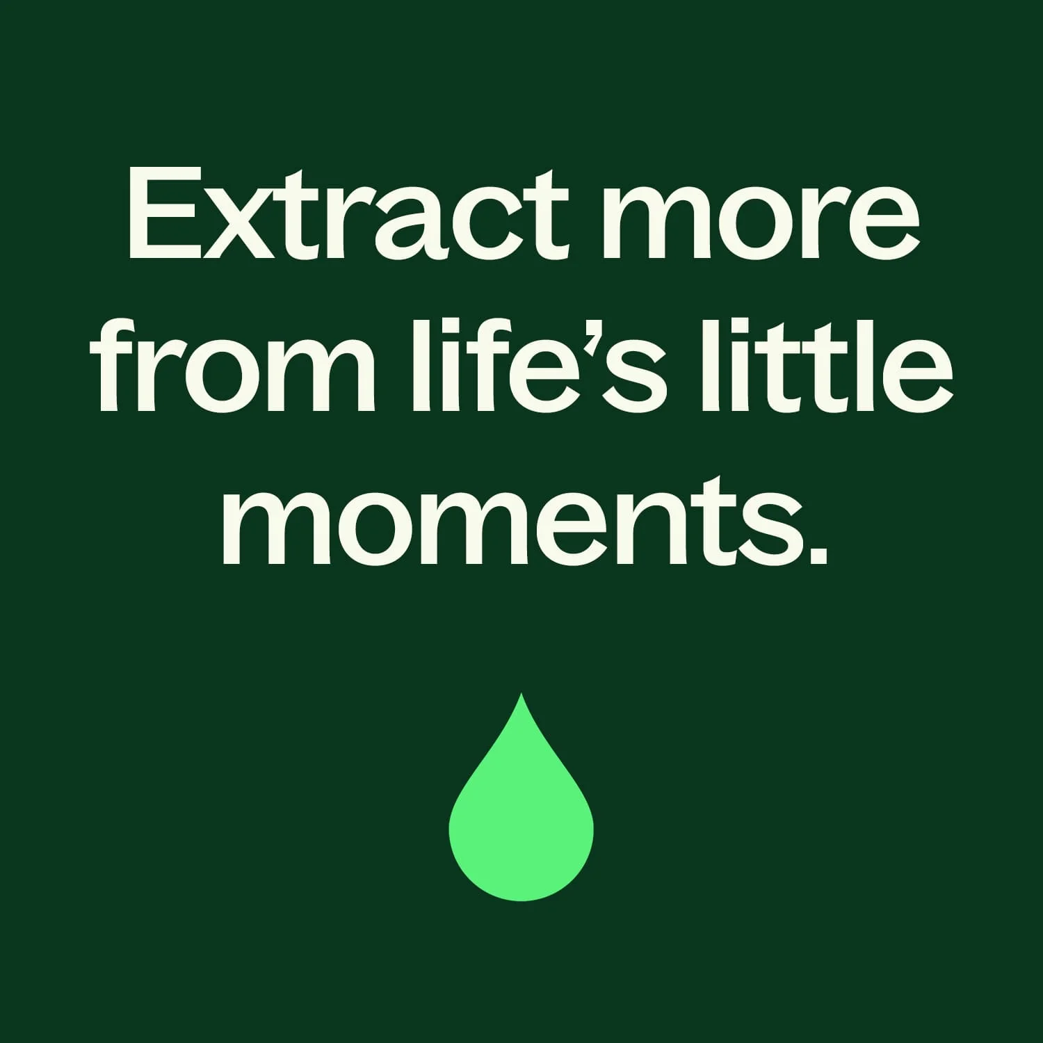 Lime Twist Essential Oil Blend - Image 11